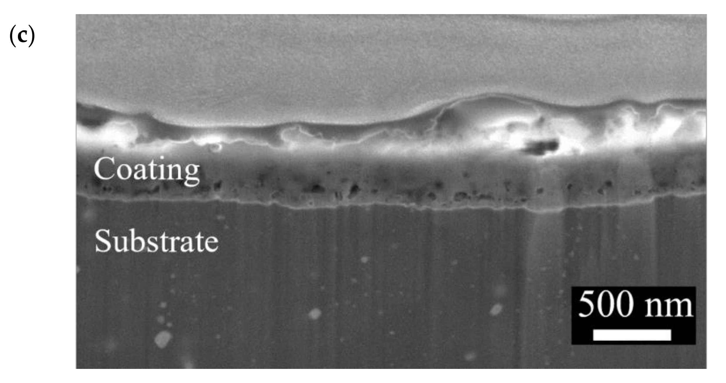 Bioengineering | Free Full-Text | A Study on the Structure and ...