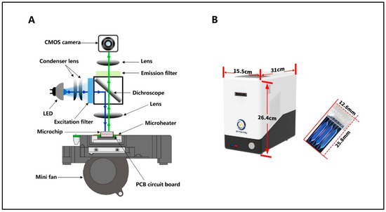 Bioengineering | Free Full-Text | Ultrafast PCR Detection of COVID-19 by  Using a Microfluidic Chip-Based System