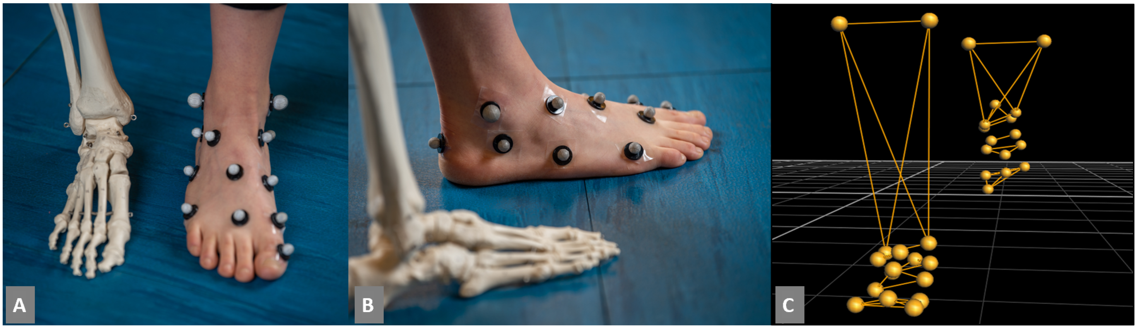 Bioengineering 09 00552 g001 Bioengineering 09 00552 g001