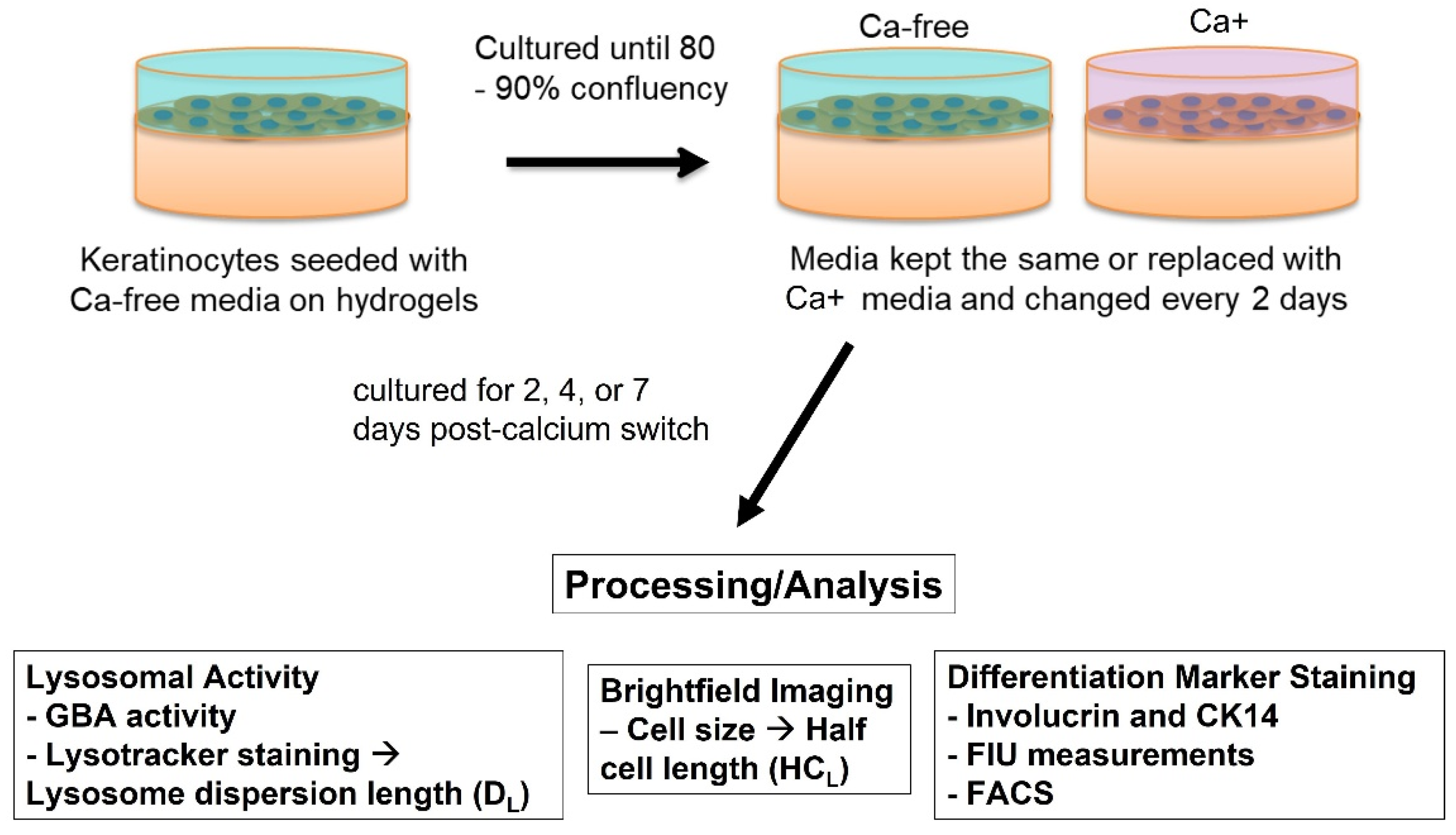 Bioengineering 09 00559 g001 Bioengineering 09 00559 g001