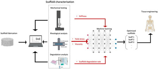 Bioengineering | Free Full-Text | The Role of Machine Learning and Design  of Experiments in the Advancement of Biomaterial and Tissue Engineering  Research