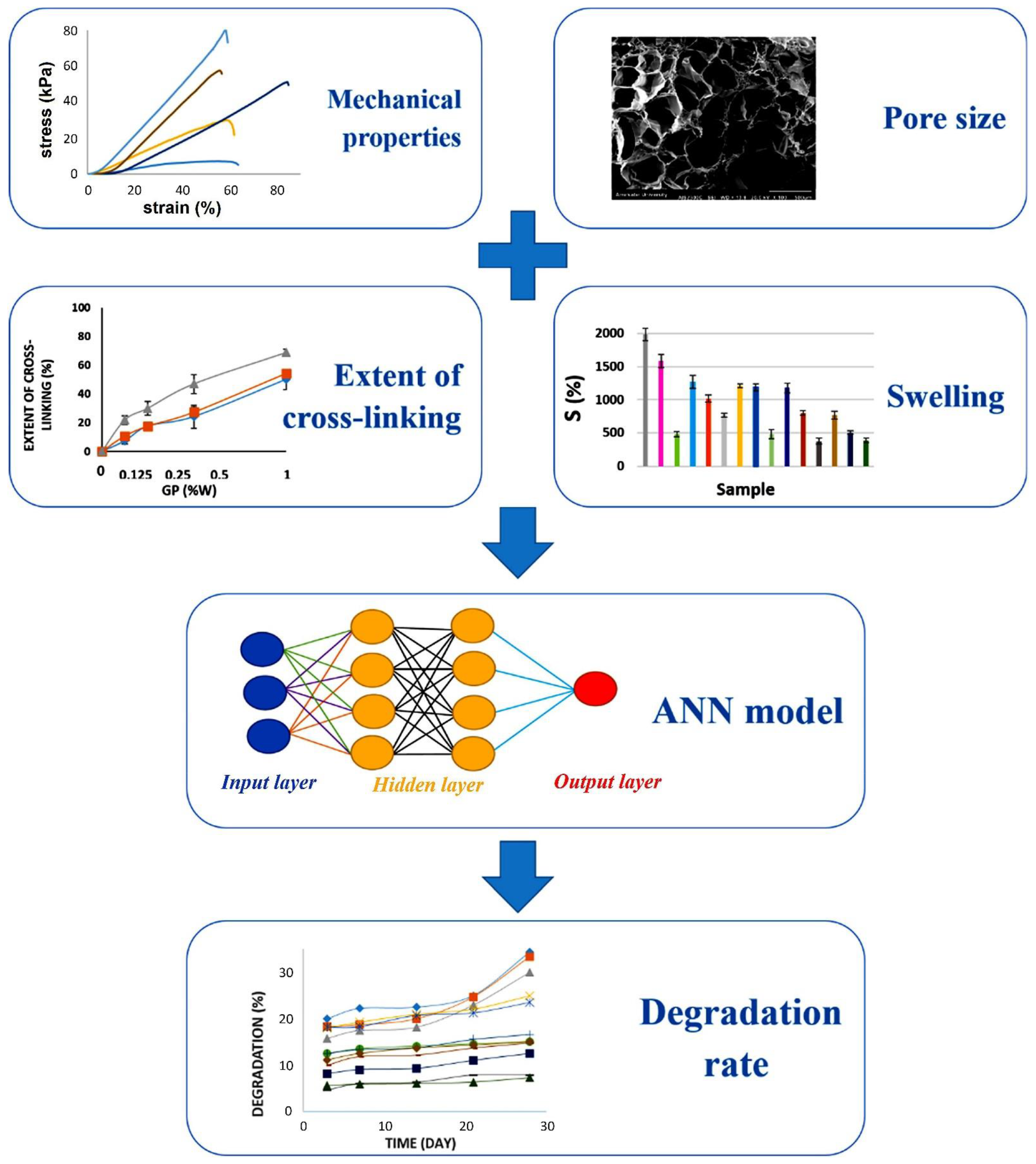 Bioengineering 09 00561 g008 Bioengineering 09 00561 g008