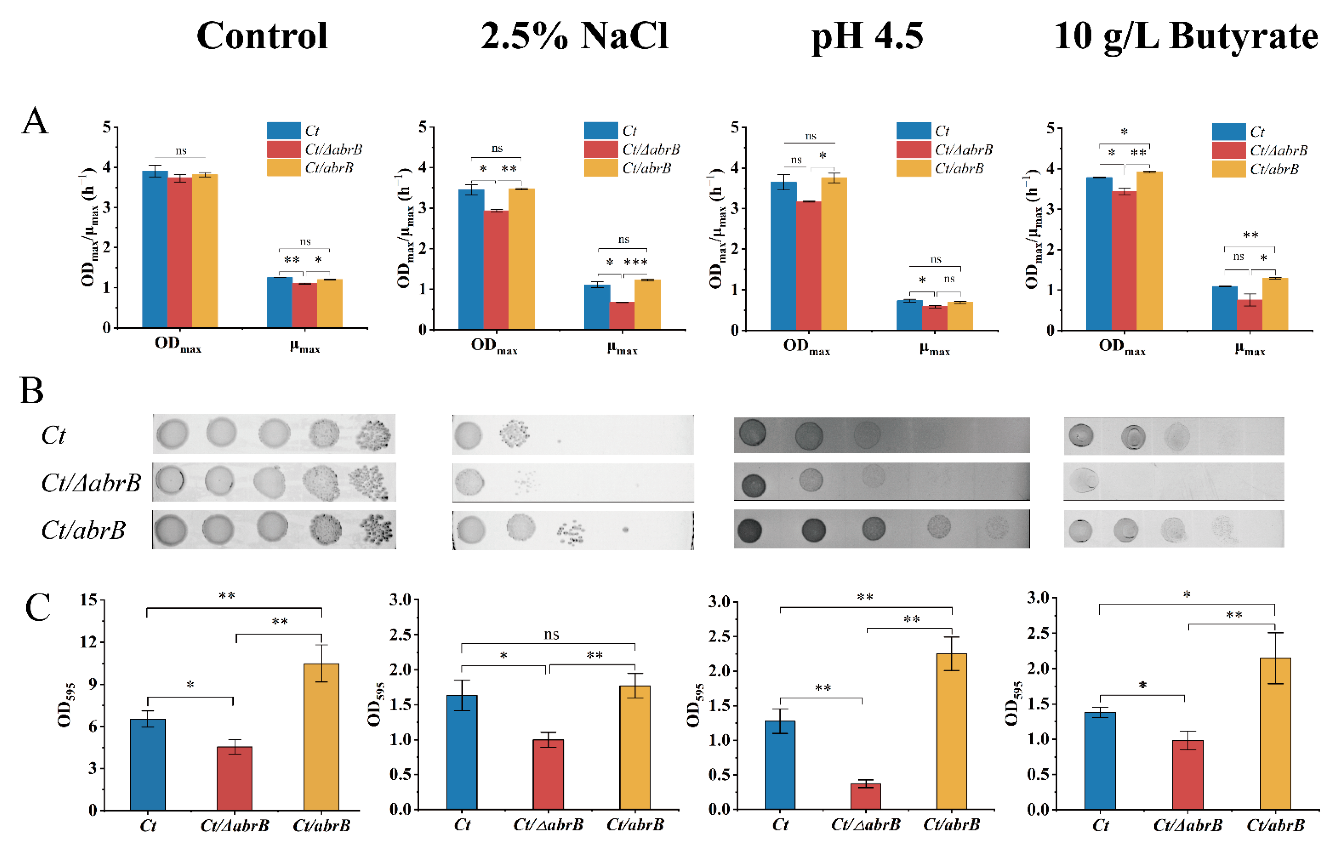 Bioengineering 09 00575 g005