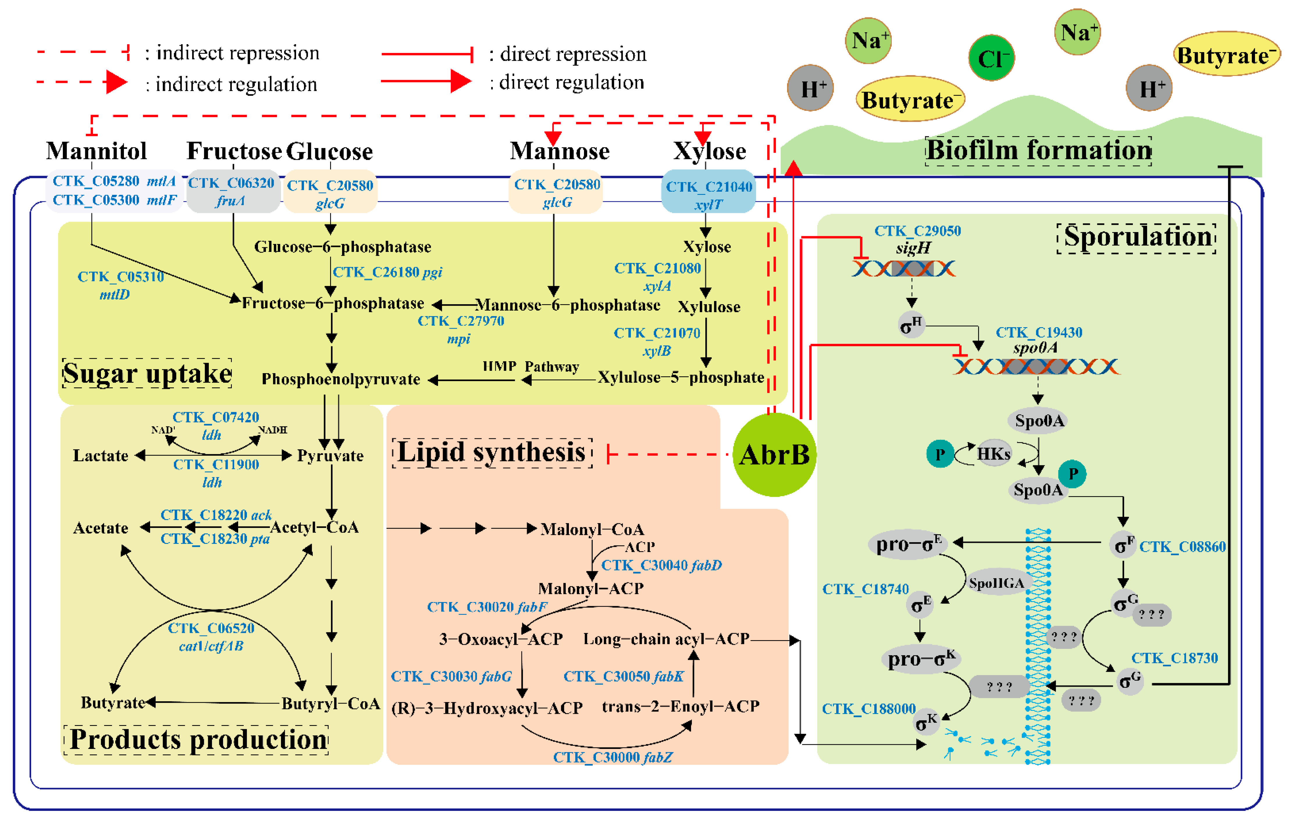 Bioengineering 09 00575 g008