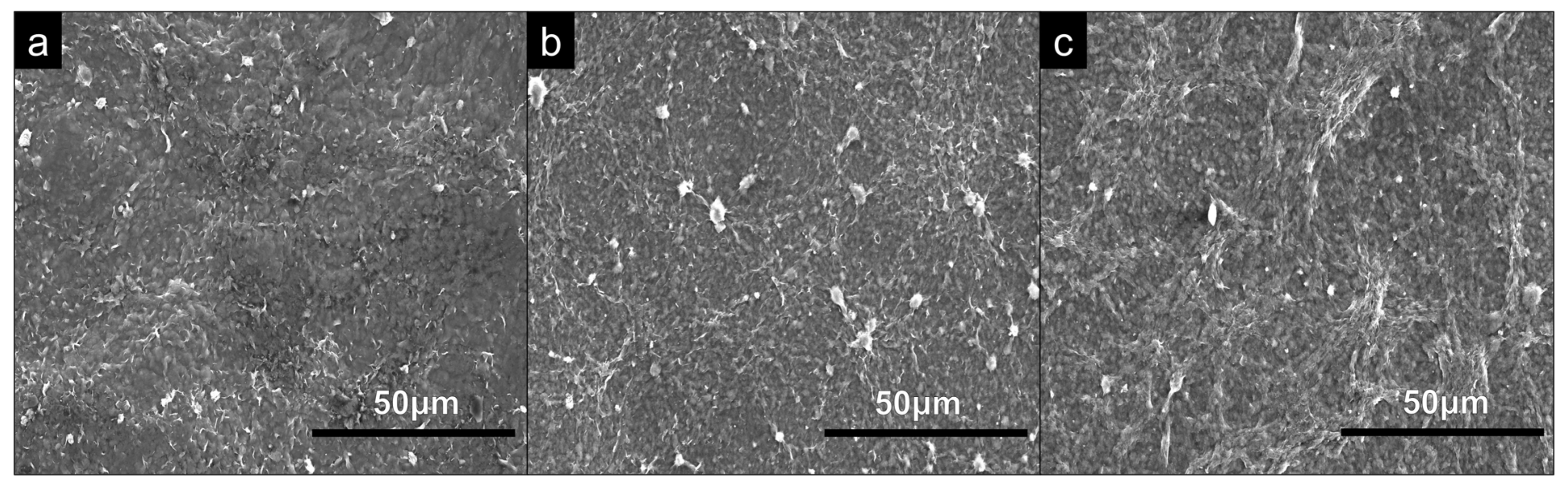 Bioengineering 09 00585 g002 Bioengineering 09 00585 g002