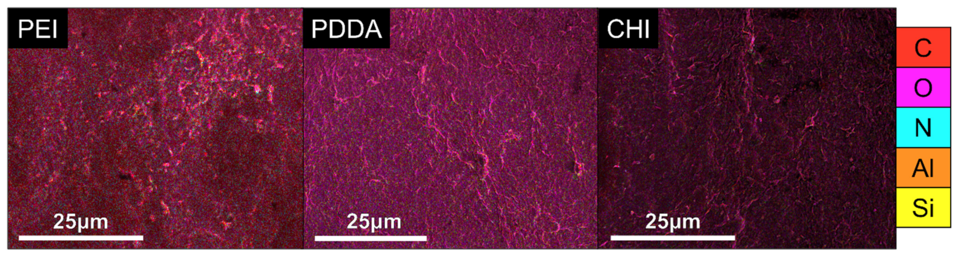 Bioengineering 09 00585 g003 Bioengineering 09 00585 g003