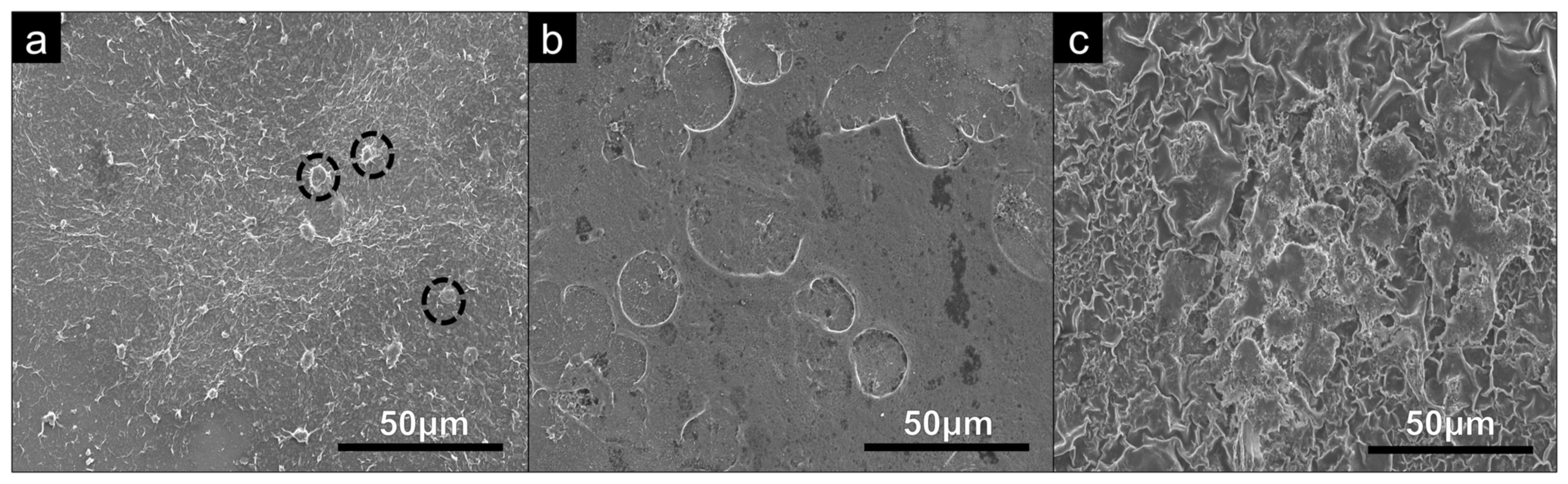 Bioengineering 09 00585 g006 Bioengineering 09 00585 g006