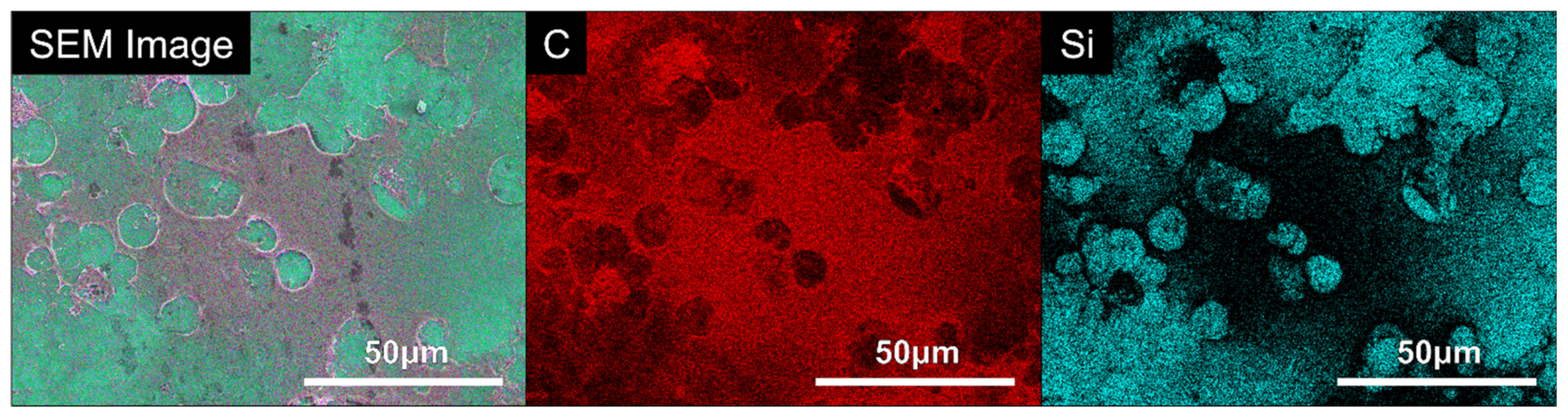 Bioengineering 09 00585 g007 Bioengineering 09 00585 g007
