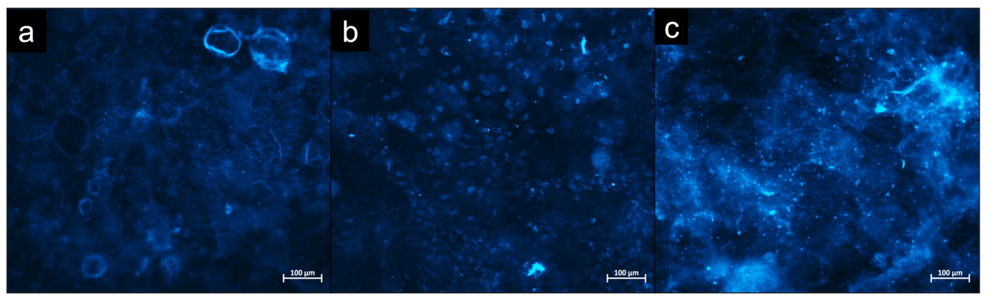 Bioengineering 09 00585 g008 Bioengineering 09 00585 g008