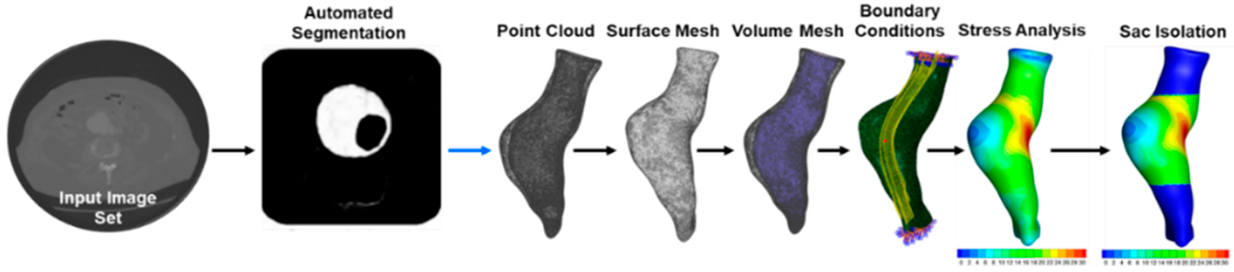 Bioengineering 09 00601 g001