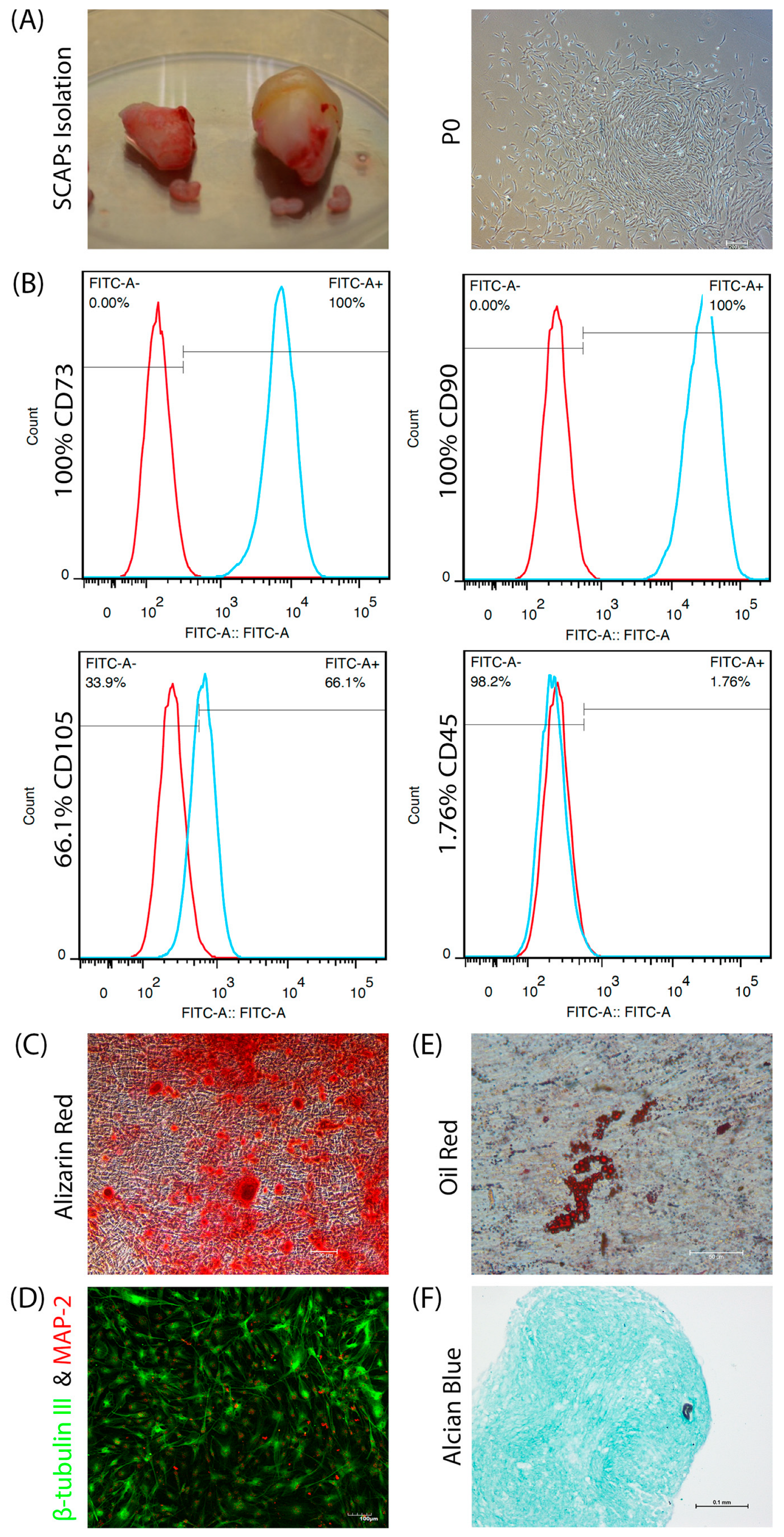 Bioengineering 09 00604 g001 Bioengineering 09 00604 g001