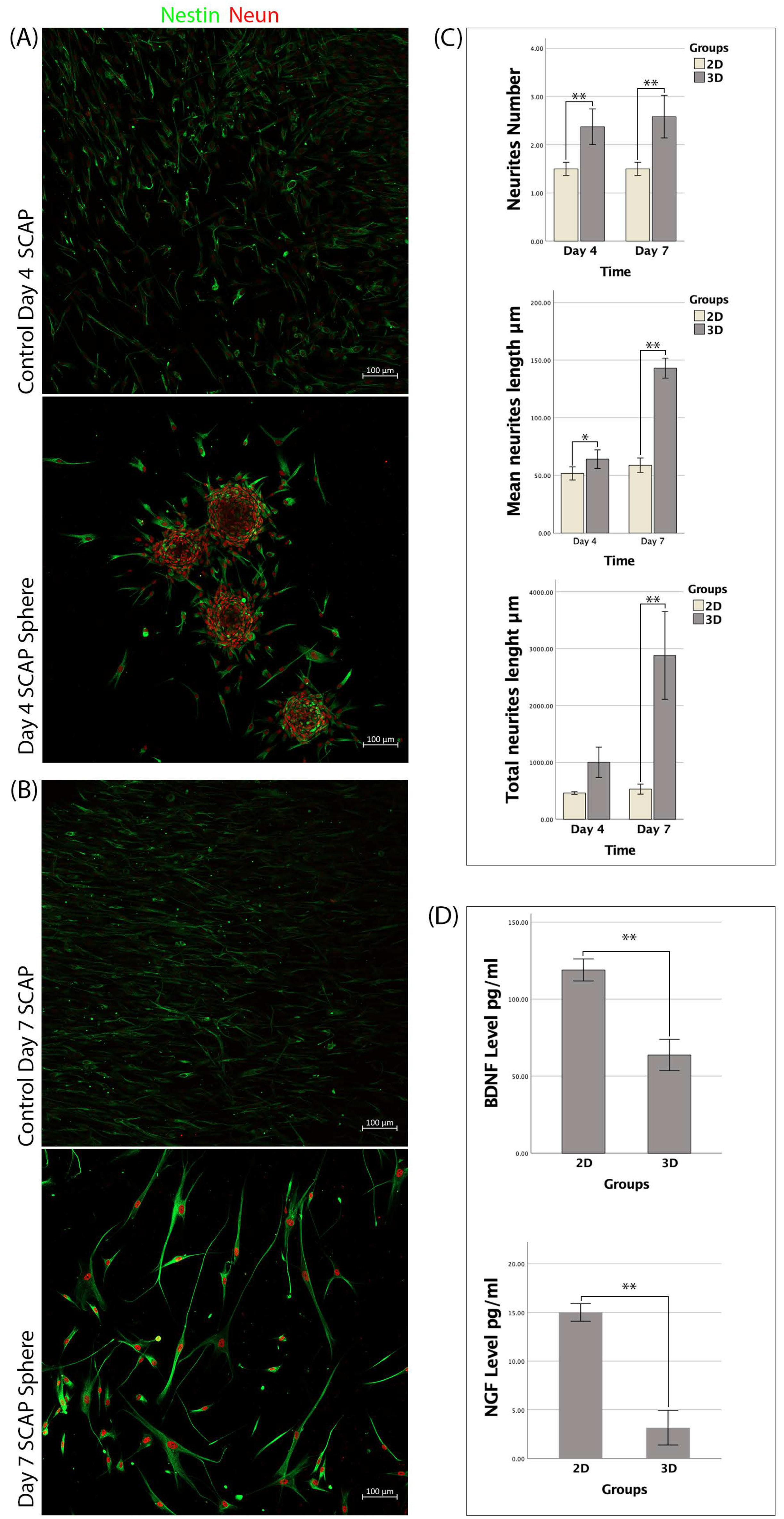 Bioengineering 09 00604 g003 Bioengineering 09 00604 g003