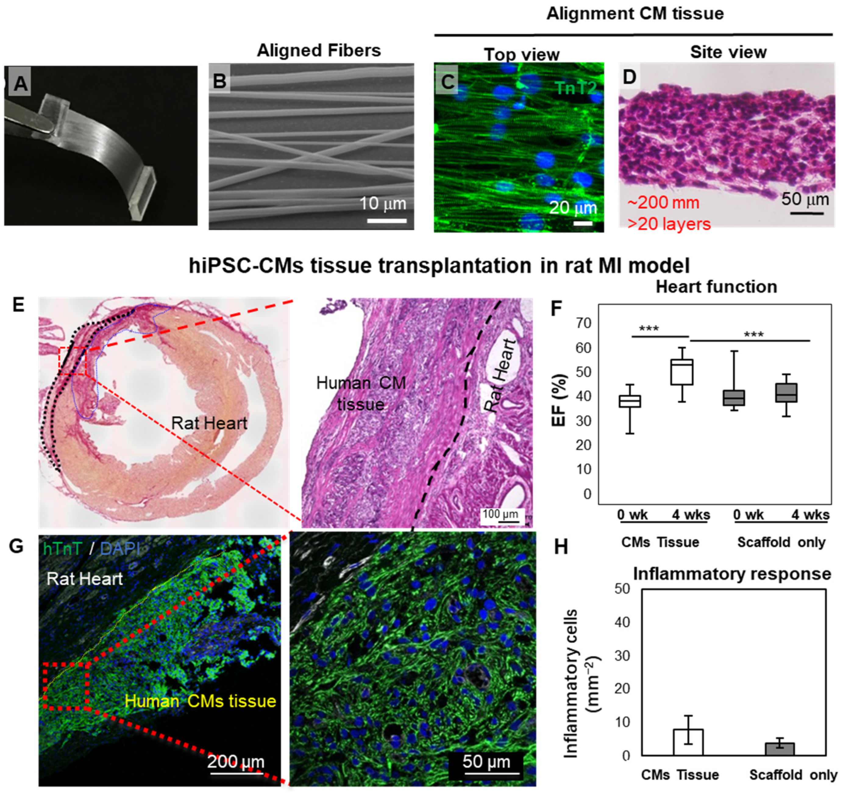 Bioengineering 09 00605 g002 Bioengineering 09 00605 g002