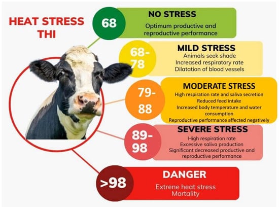 Frontiers  Fitness of calves born from in vitro-produced fresh