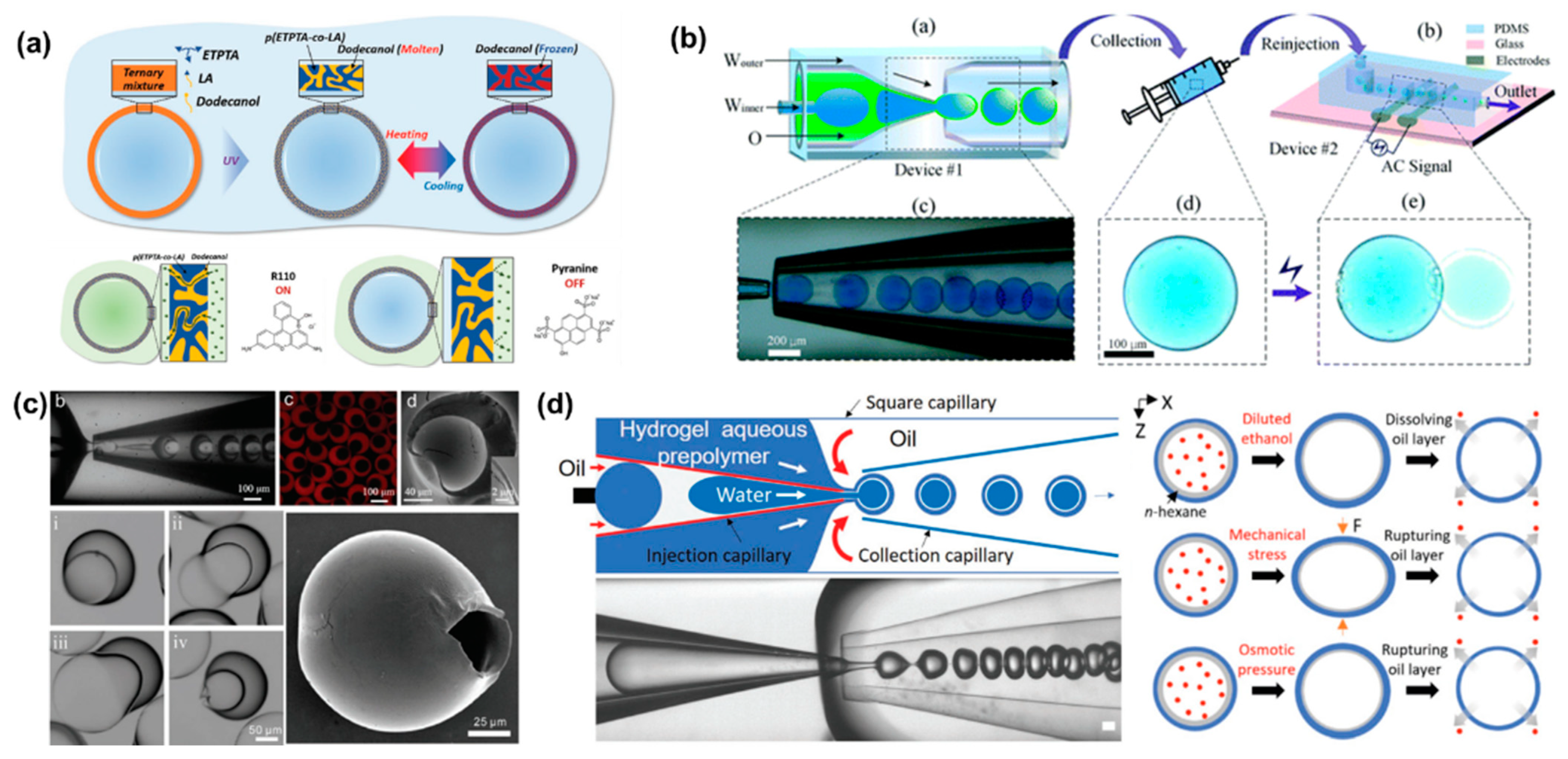 Bioengineering 09 00625 g003 Bioengineering 09 00625 g003