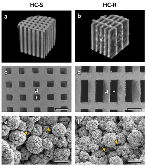 PDF) Custom-Made Synthetic Scaffolds for Bone Reconstruction: A  Retrospective, Multicenter Clinical Study on 15 Patients