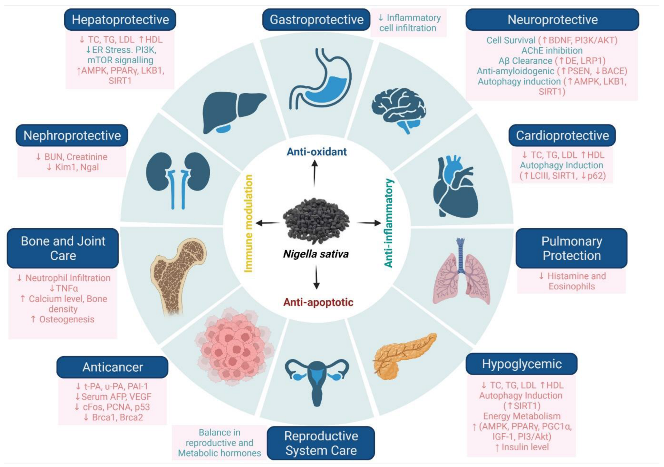 Bioengineering 09 00631 g003 Bioengineering 09 00631 g003