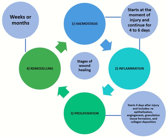 Bioengineering | Free Full-Text | A Narrative Review on Means to ...