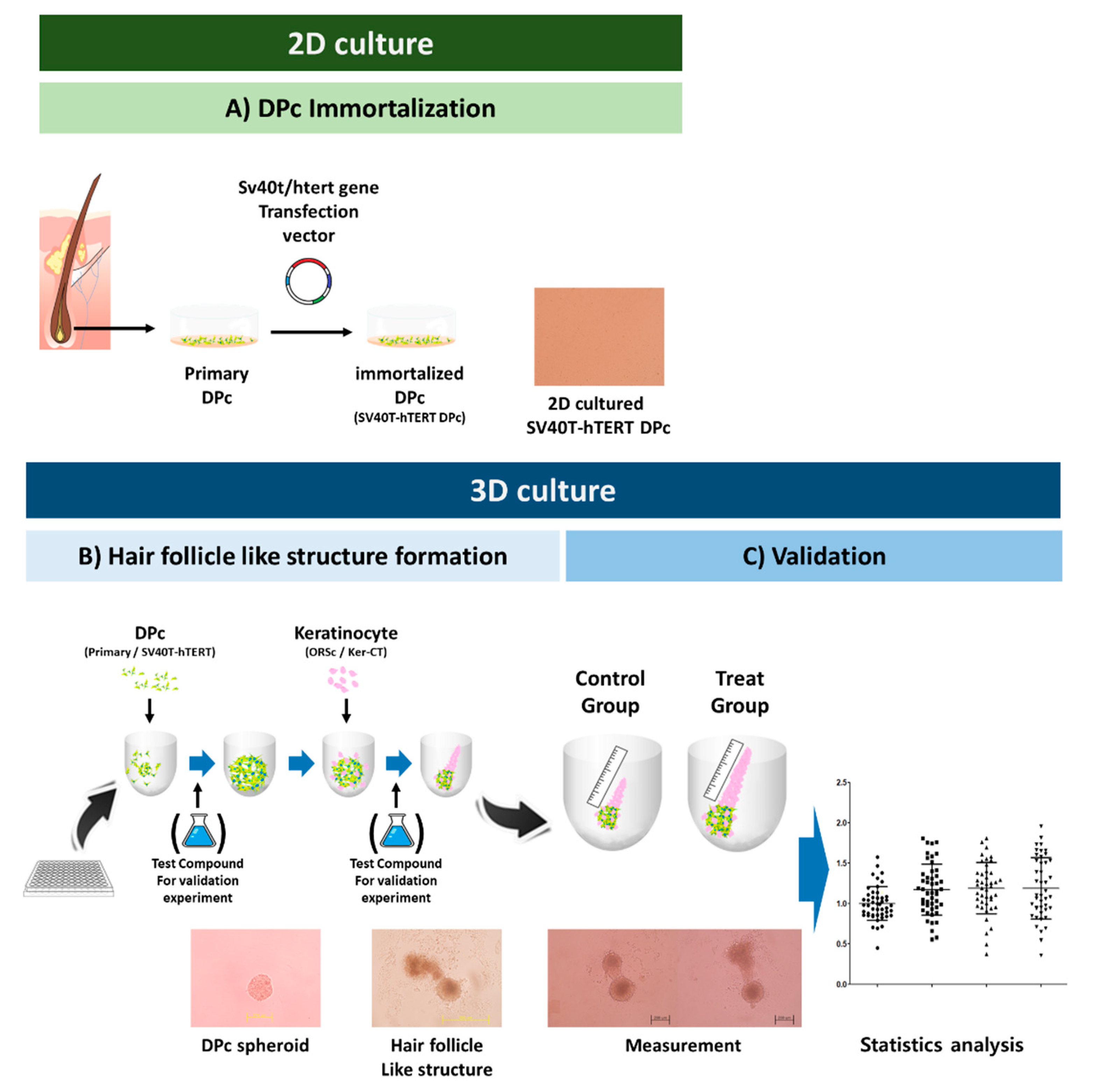 Bioengineering 09 00645 g001 Bioengineering 09 00645 g001