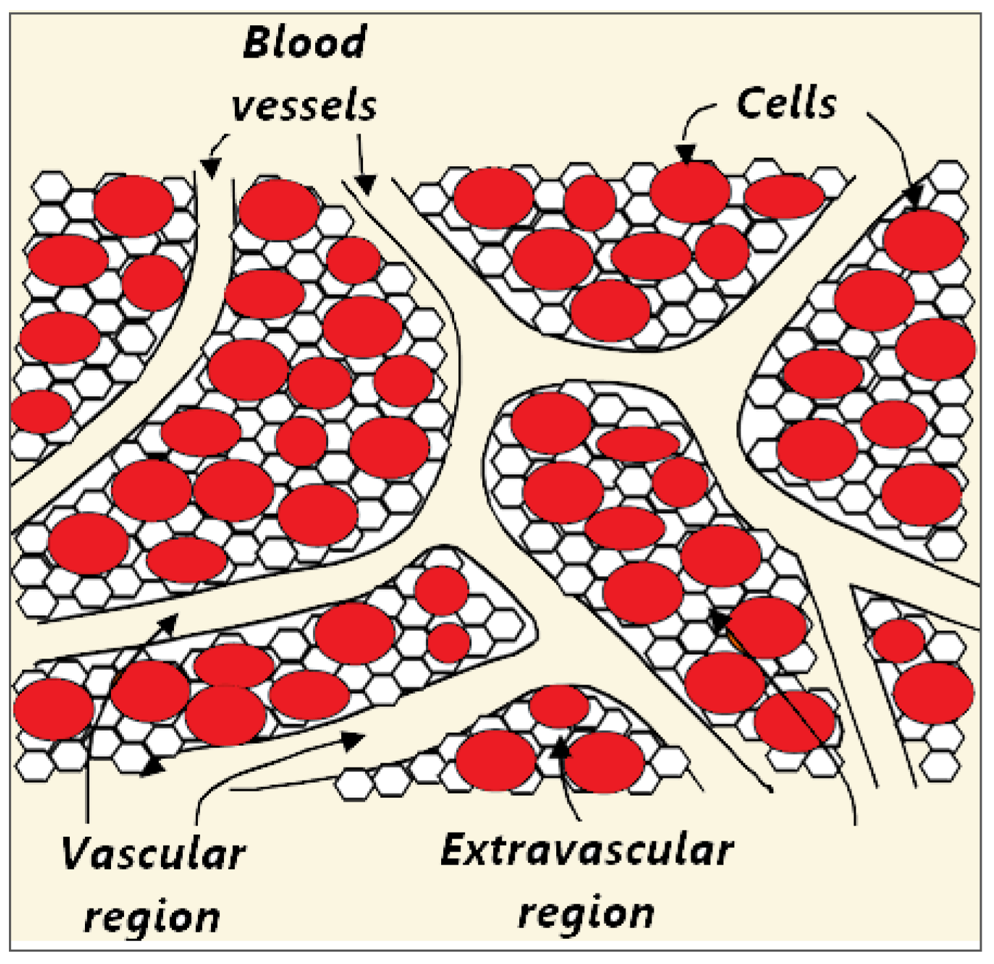 Bioengineering 09 00656 g002 Bioengineering 09 00656 g002