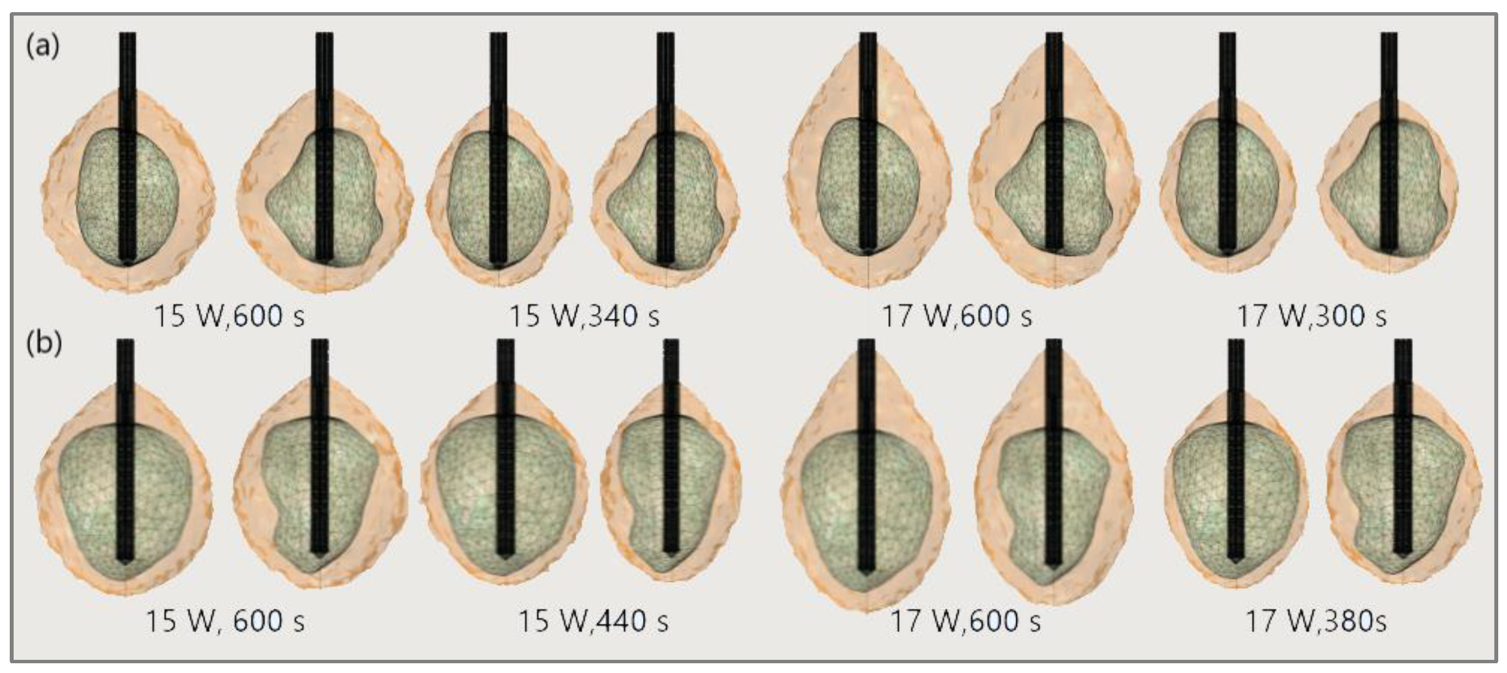 Bioengineering 09 00656 g019 Bioengineering 09 00656 g019