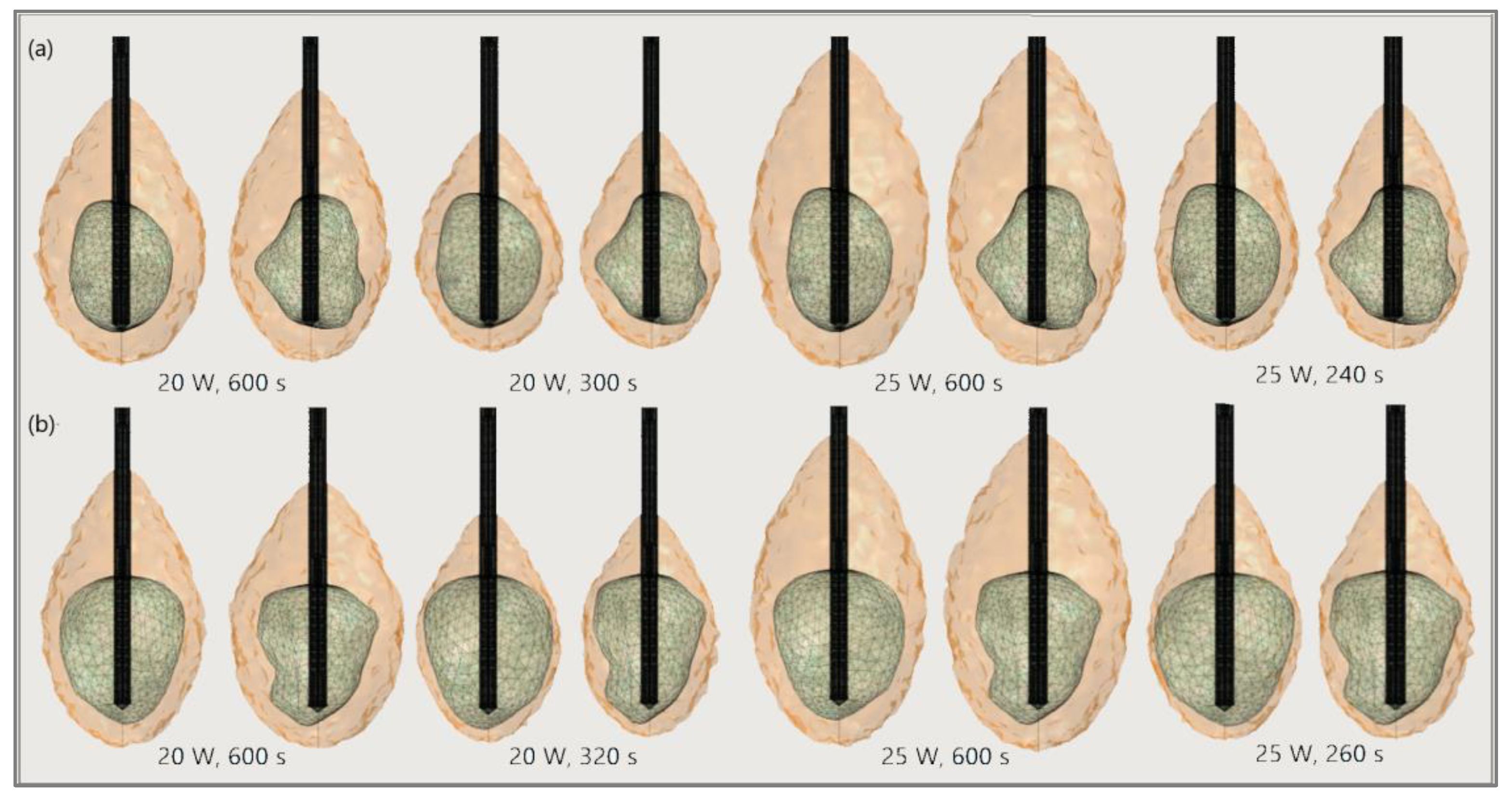 Bioengineering 09 00656 g020 Bioengineering 09 00656 g020