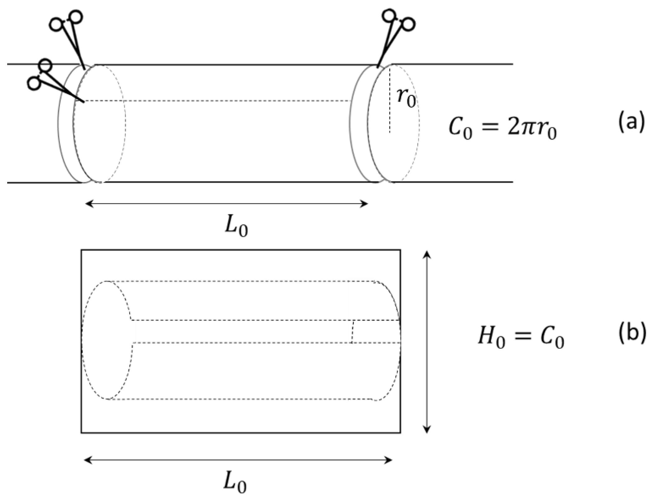 Bioengineering 09 00658 g002 Bioengineering 09 00658 g002