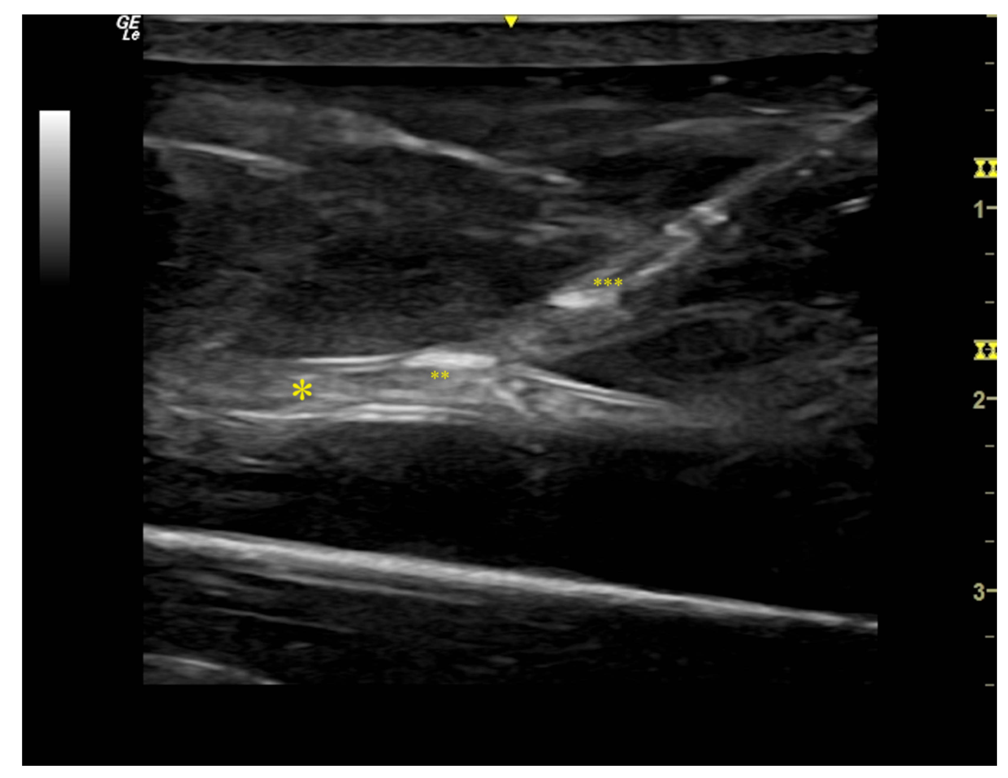 Bioengineering 09 00659 g004