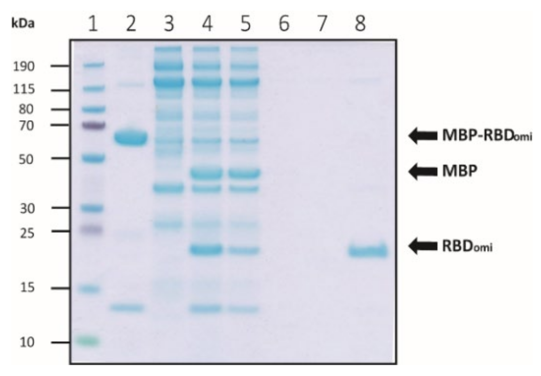 Bioengineering 09 00670 g004