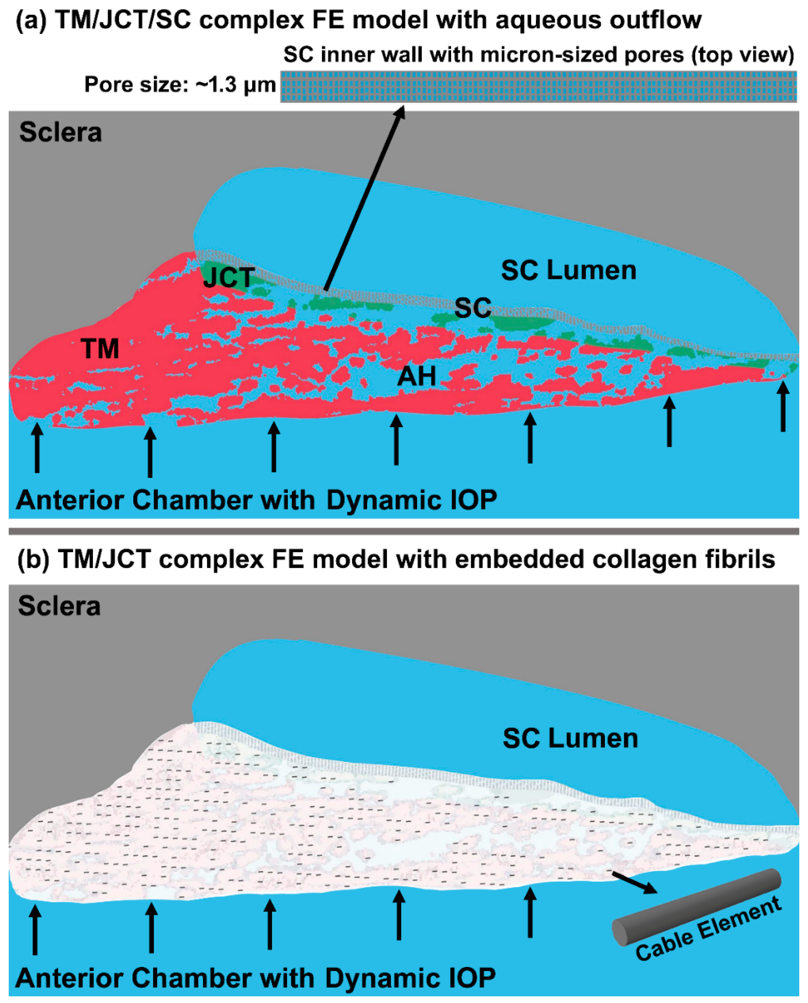 Bioengineering 09 00672 g001 Bioengineering 09 00672 g001