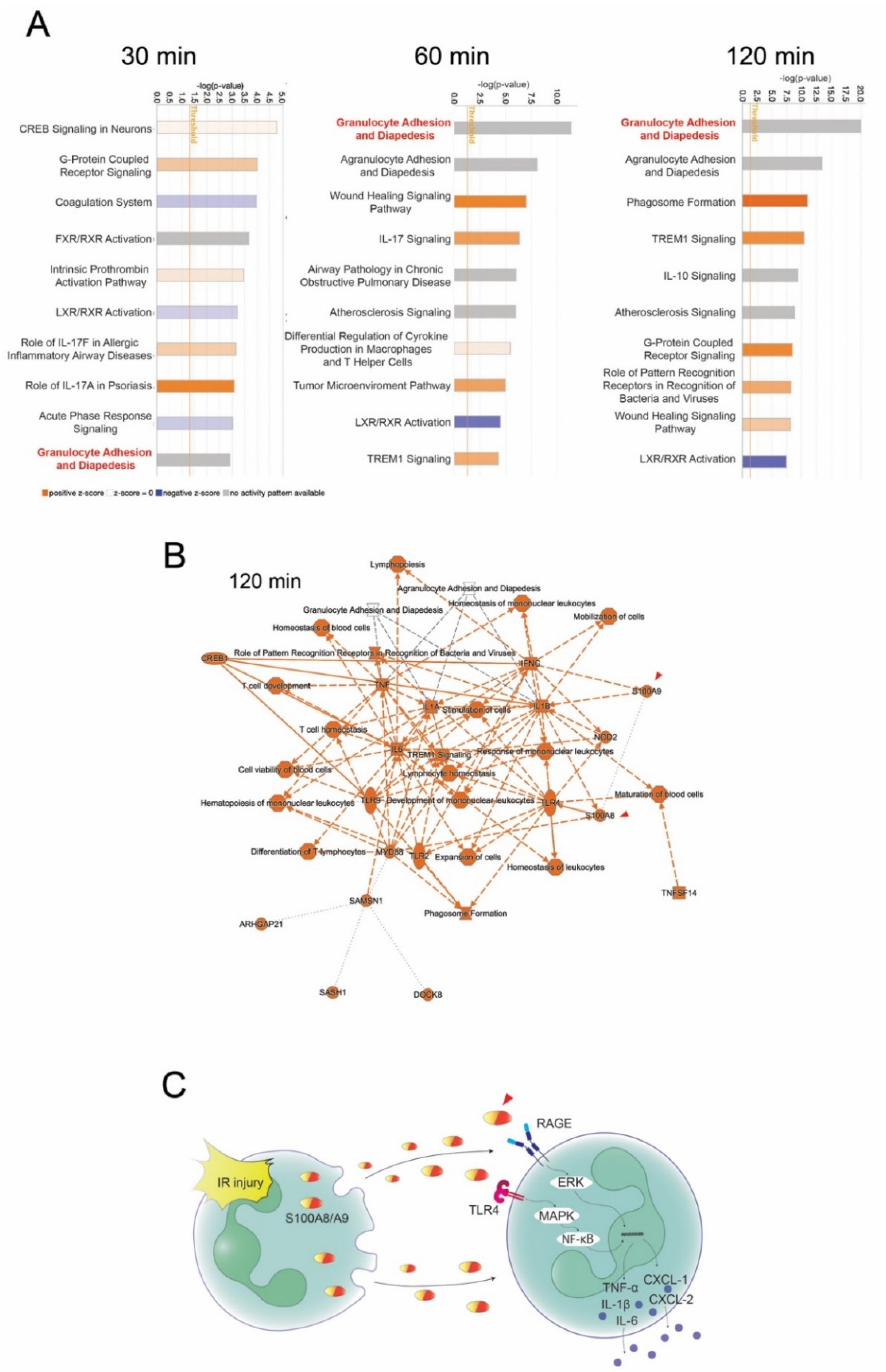 Bioengineering 09 00673 g002 Bioengineering 09 00673 g002