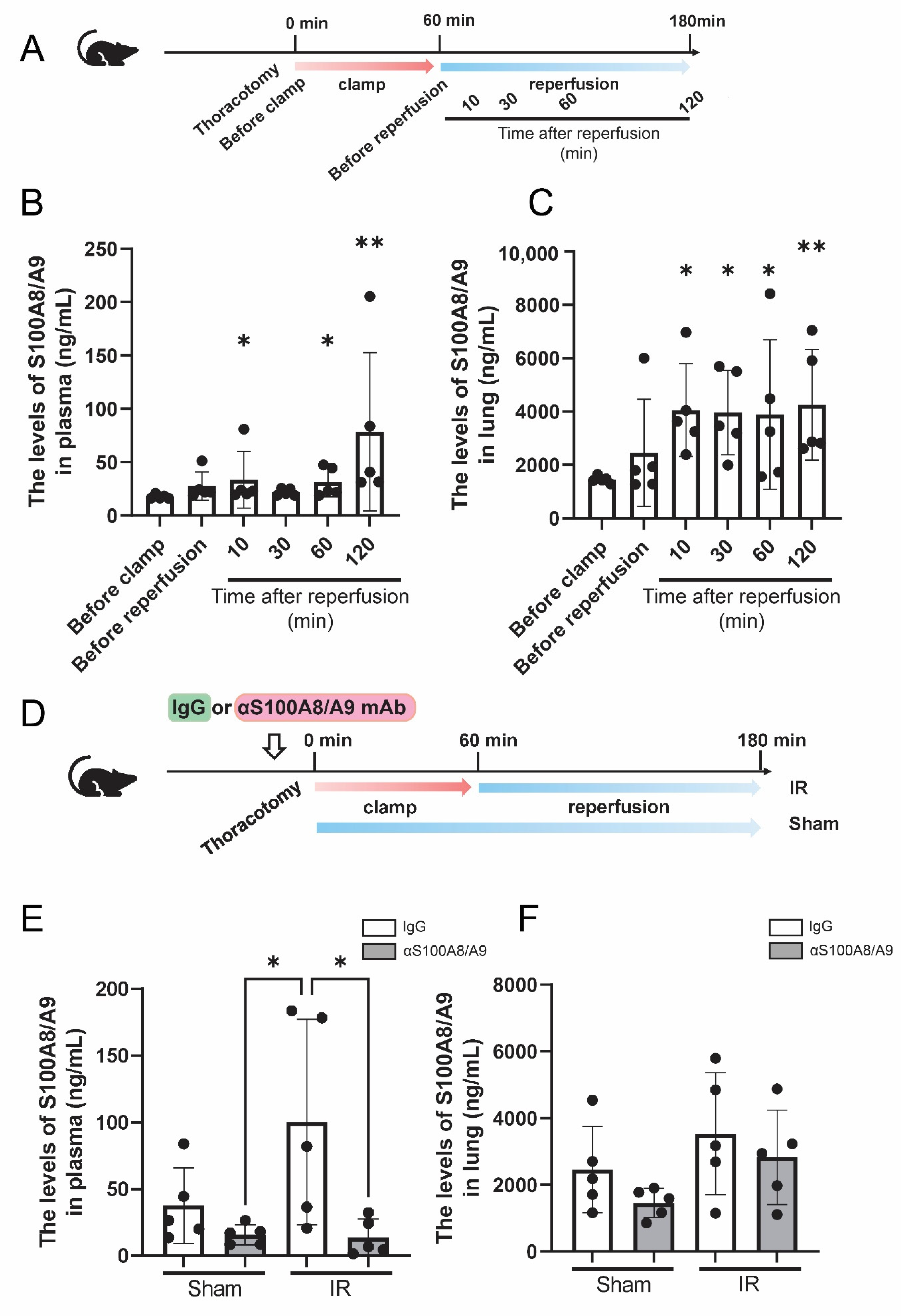 Bioengineering 09 00673 g003 Bioengineering 09 00673 g003