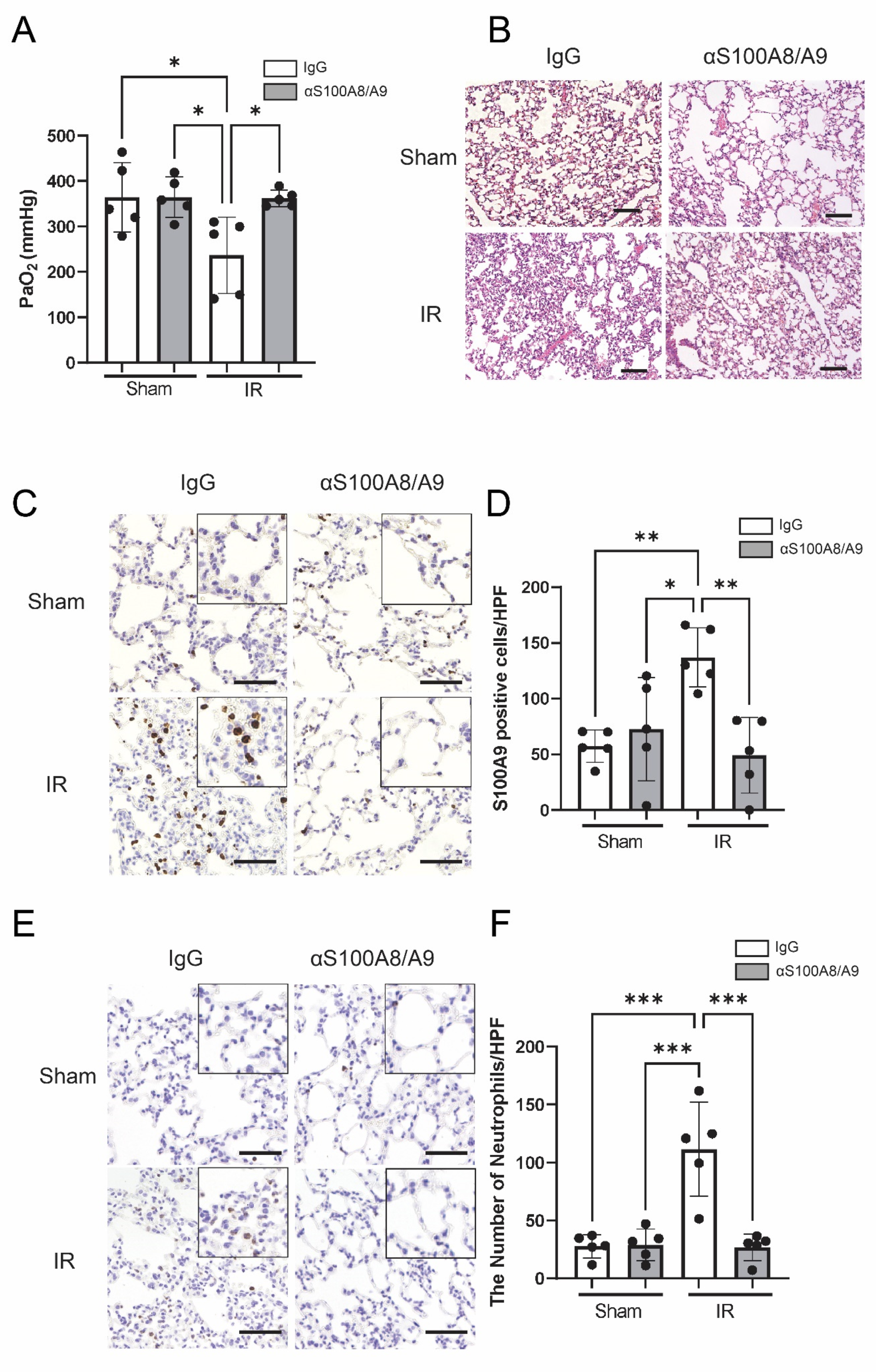 Bioengineering 09 00673 g005 Bioengineering 09 00673 g005