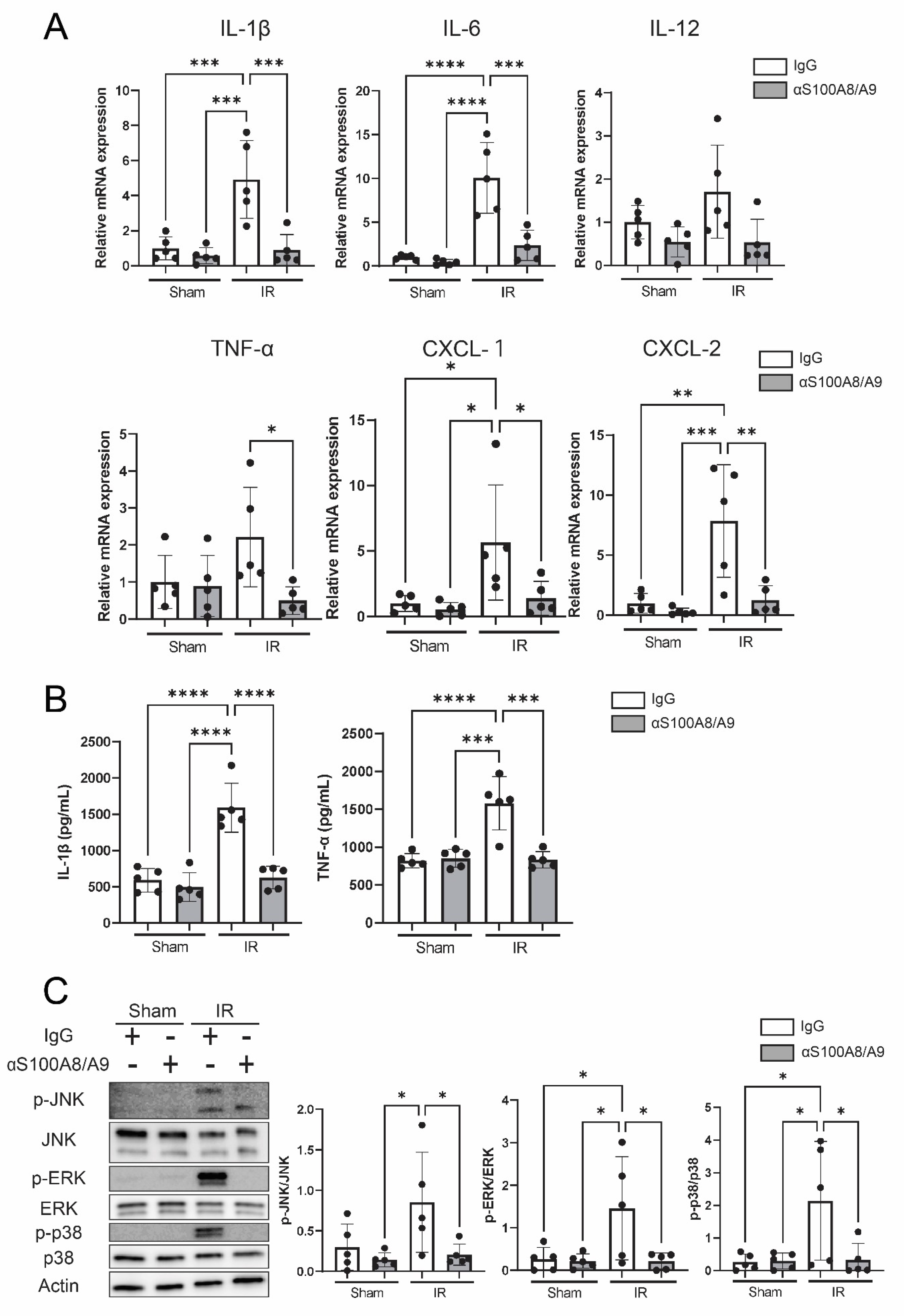 Bioengineering 09 00673 g006 Bioengineering 09 00673 g006