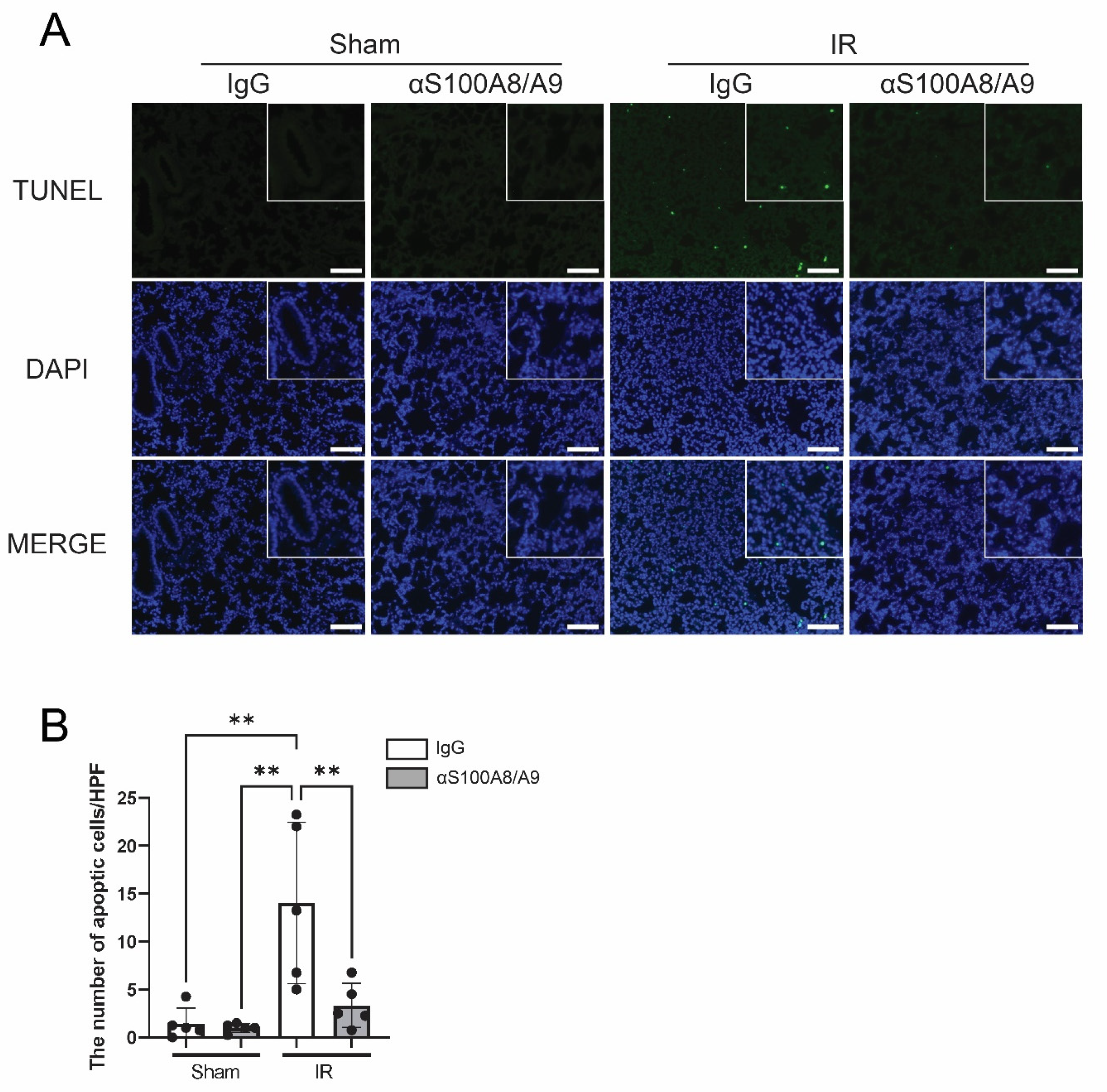 Bioengineering 09 00673 g007 Bioengineering 09 00673 g007