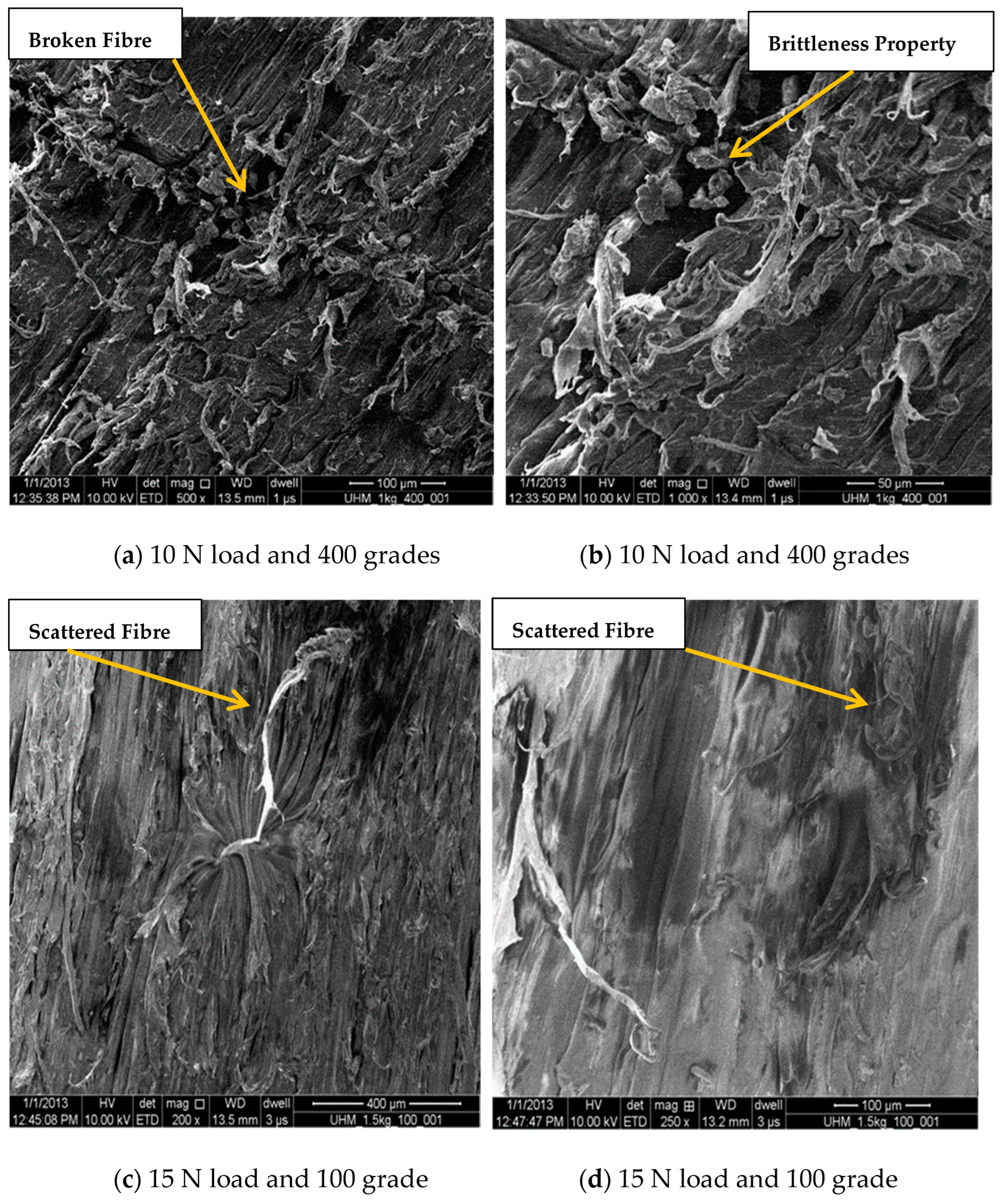 Bioengineering 09 00676 g007