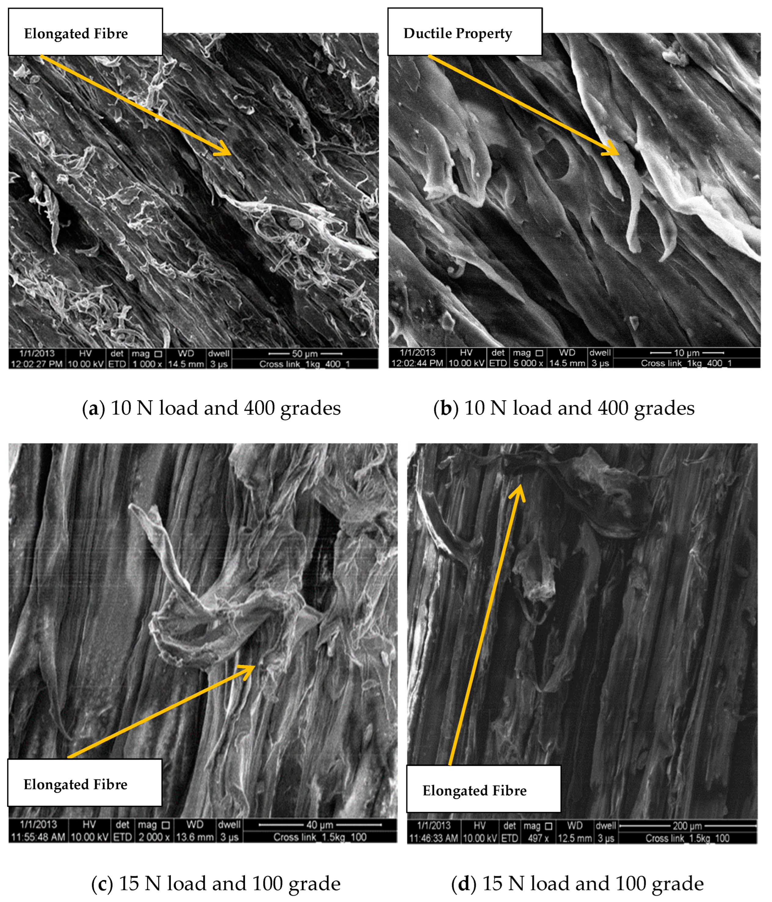 Bioengineering 09 00676 g008