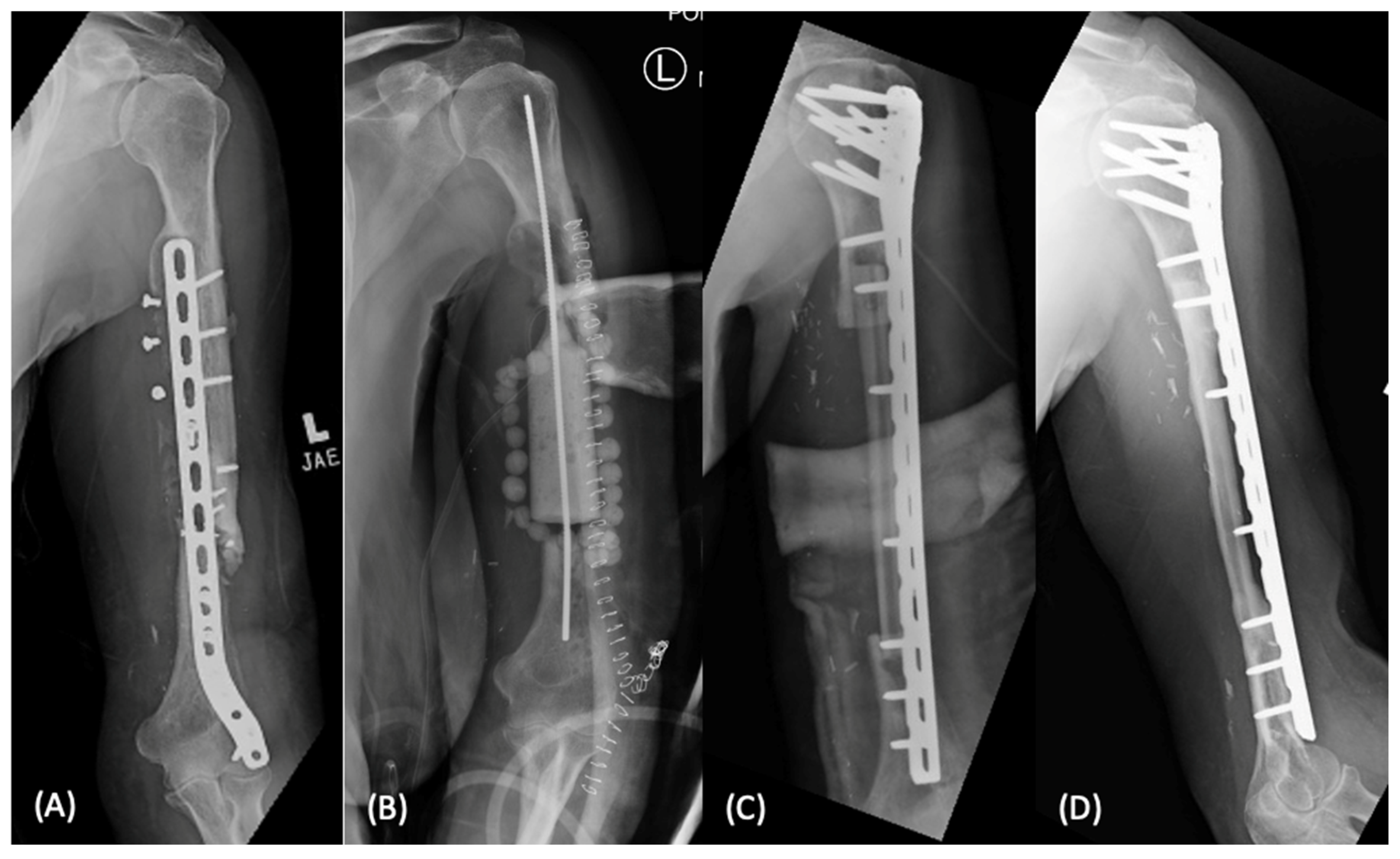 Bioengineering 09 00680 g003