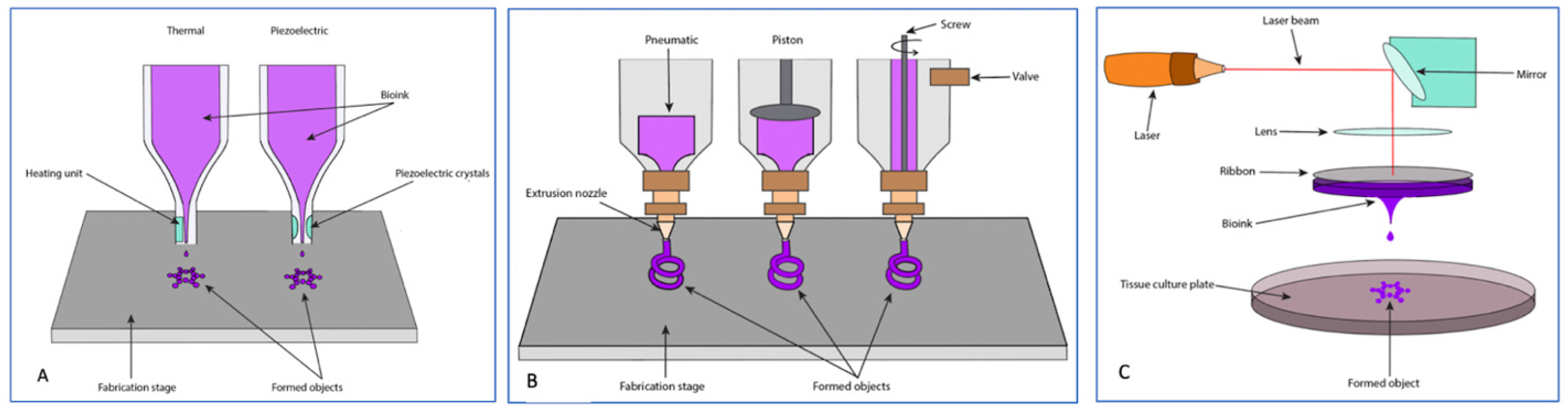 Bioengineering 09 00680 g005