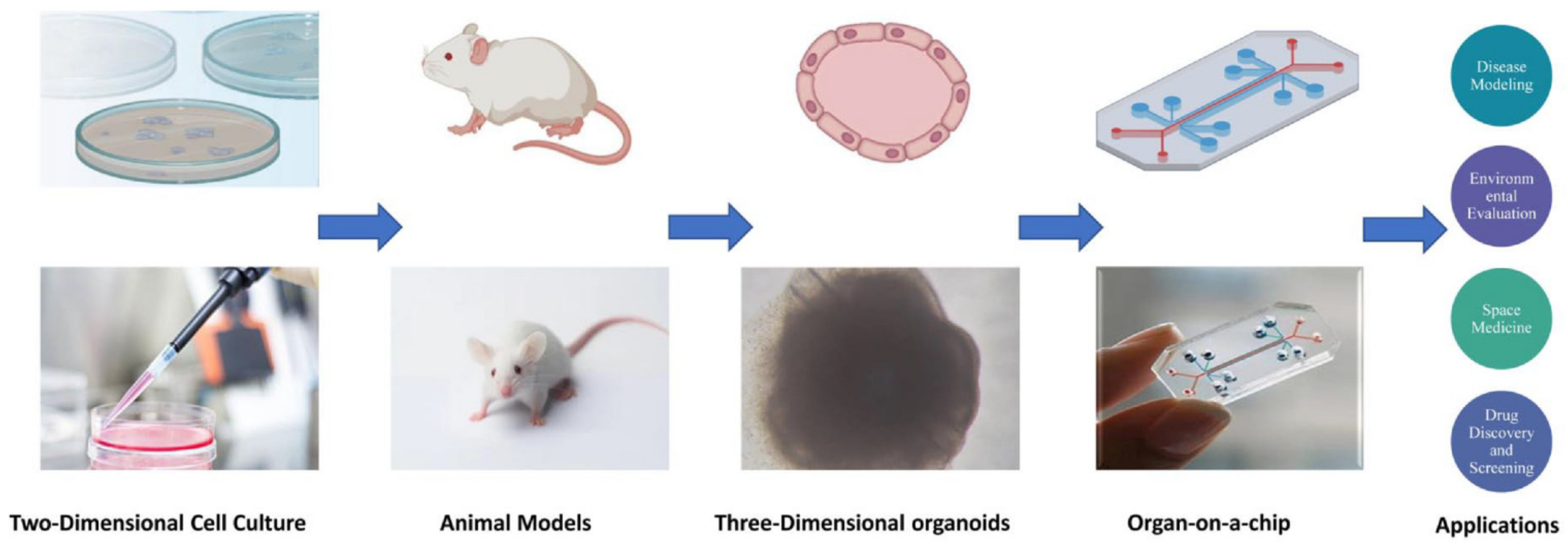 Bioengineering 09 00685 g001