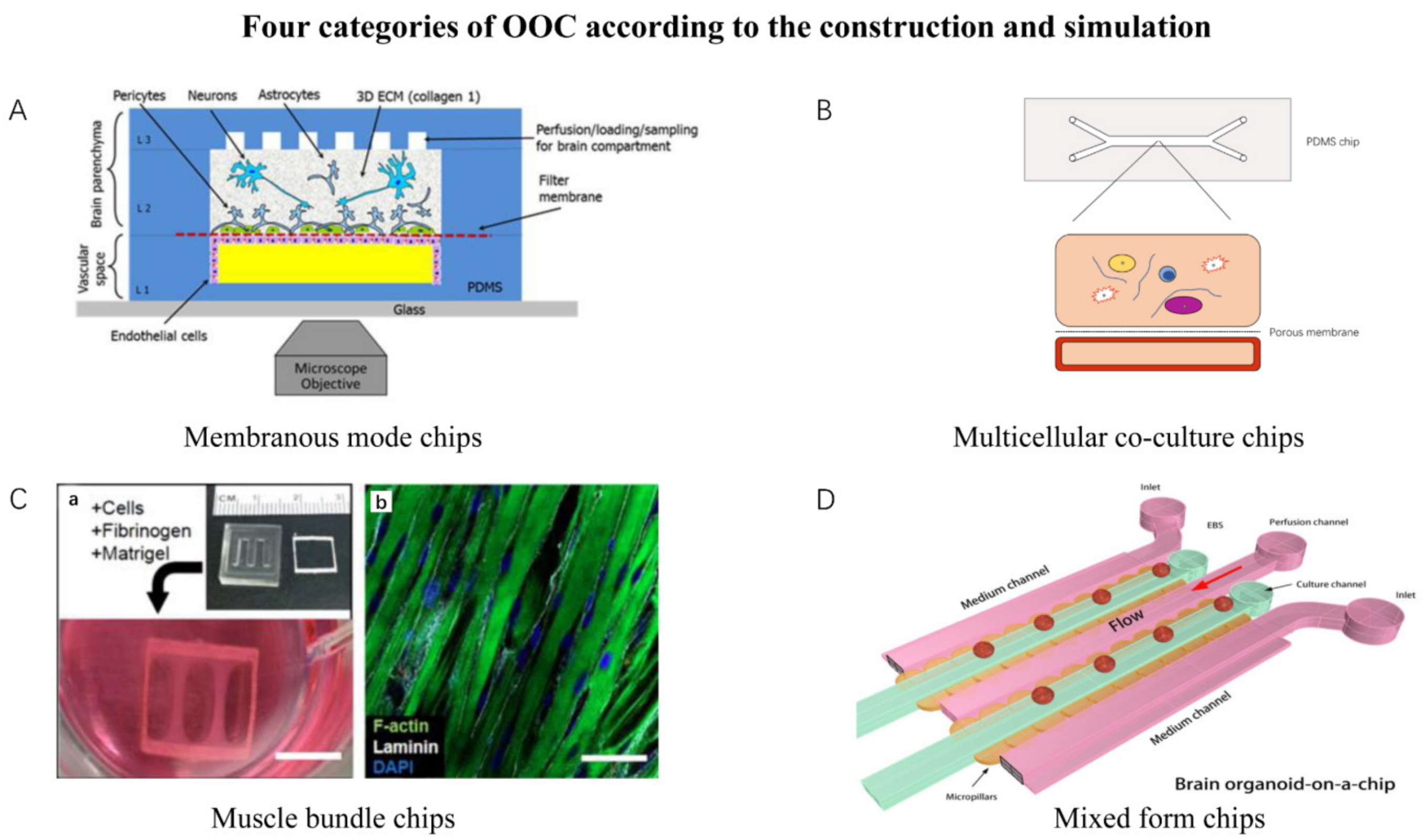 Bioengineering 09 00685 g003