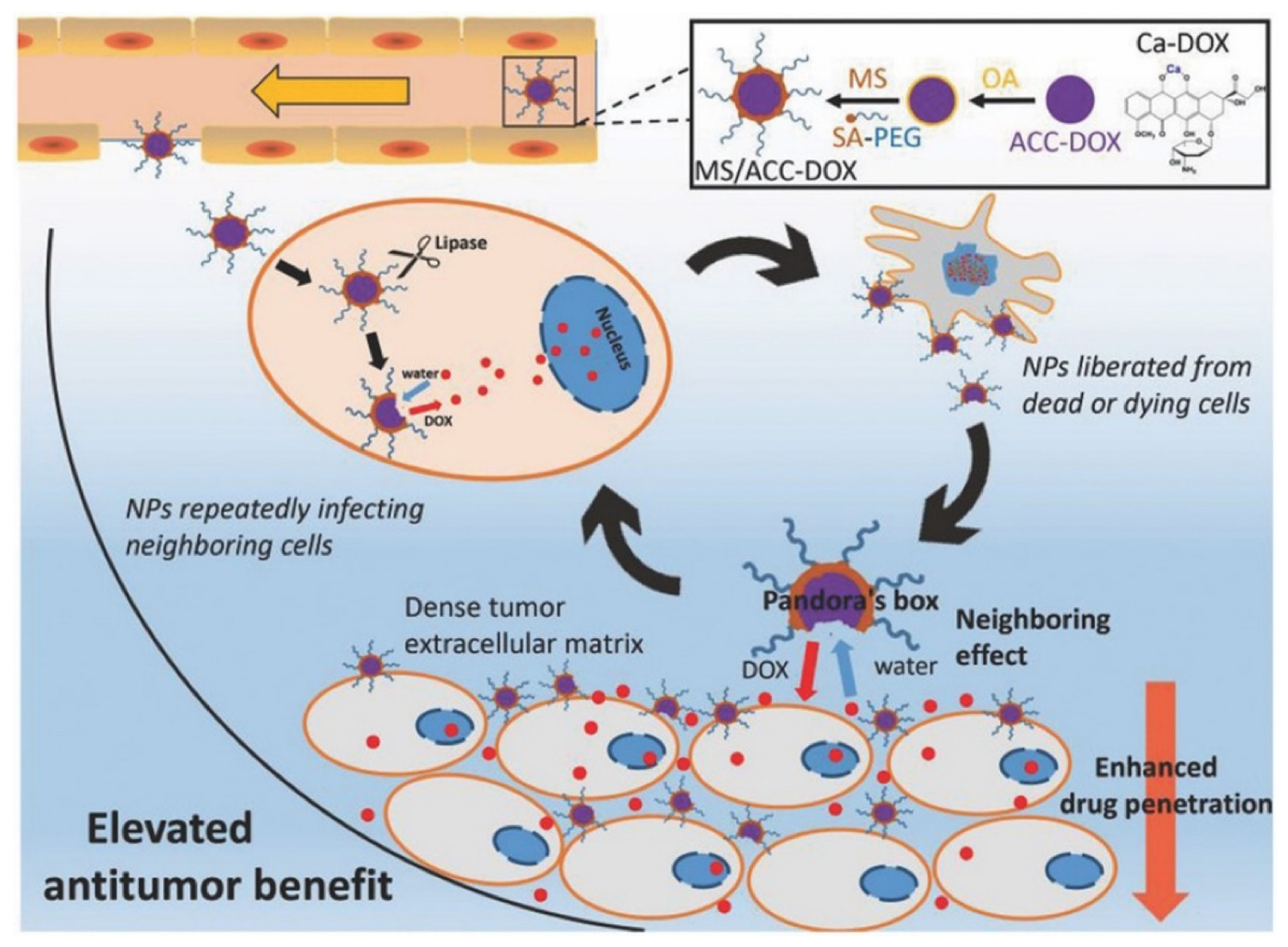 Bioengineering 09 00691 g003 Bioengineering 09 00691 g003