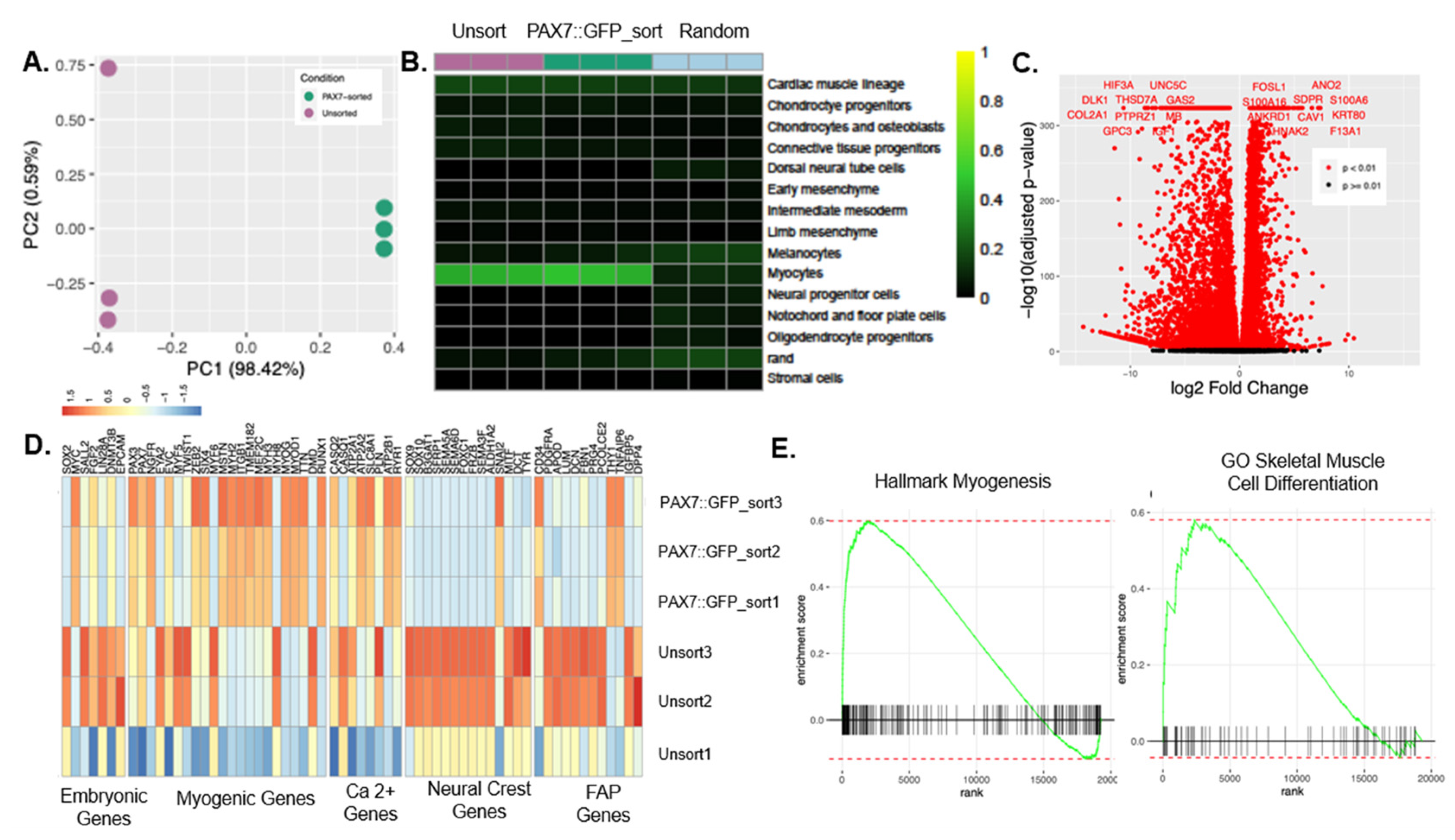 Bioengineering 09 00693 g003