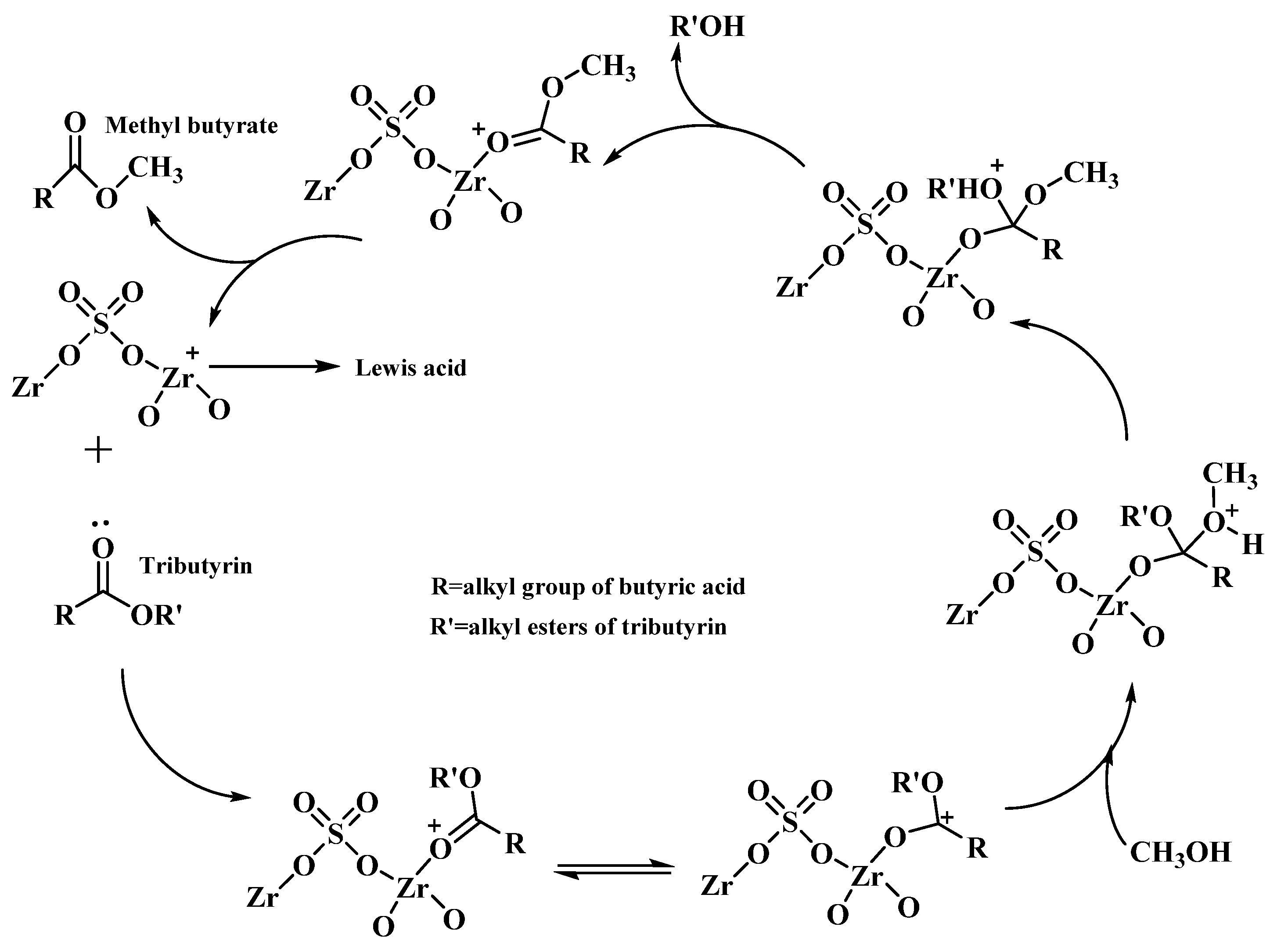 Bioengineering 09 00700 g006