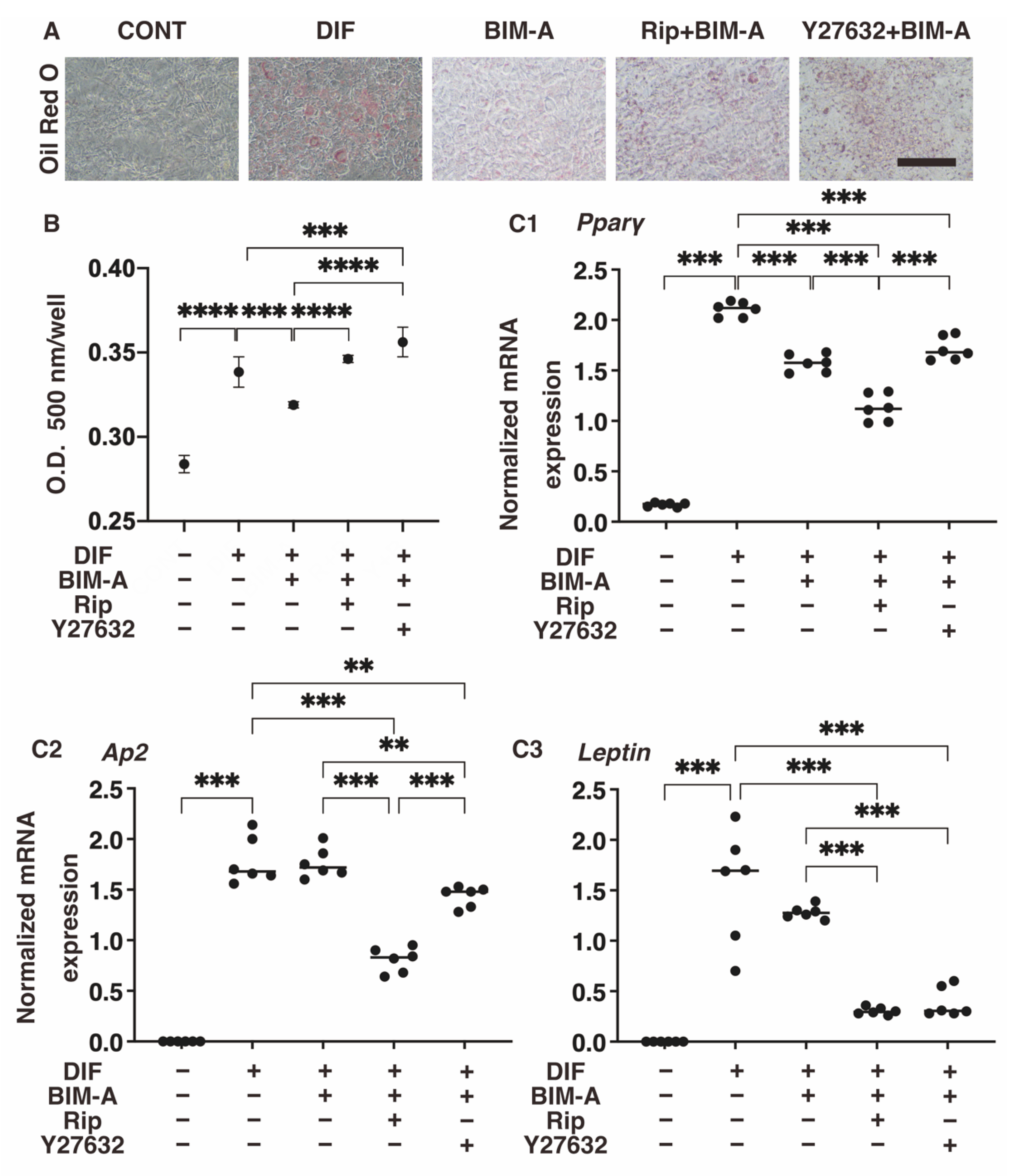 Bioengineering 09 00702 g002 Bioengineering 09 00702 g002