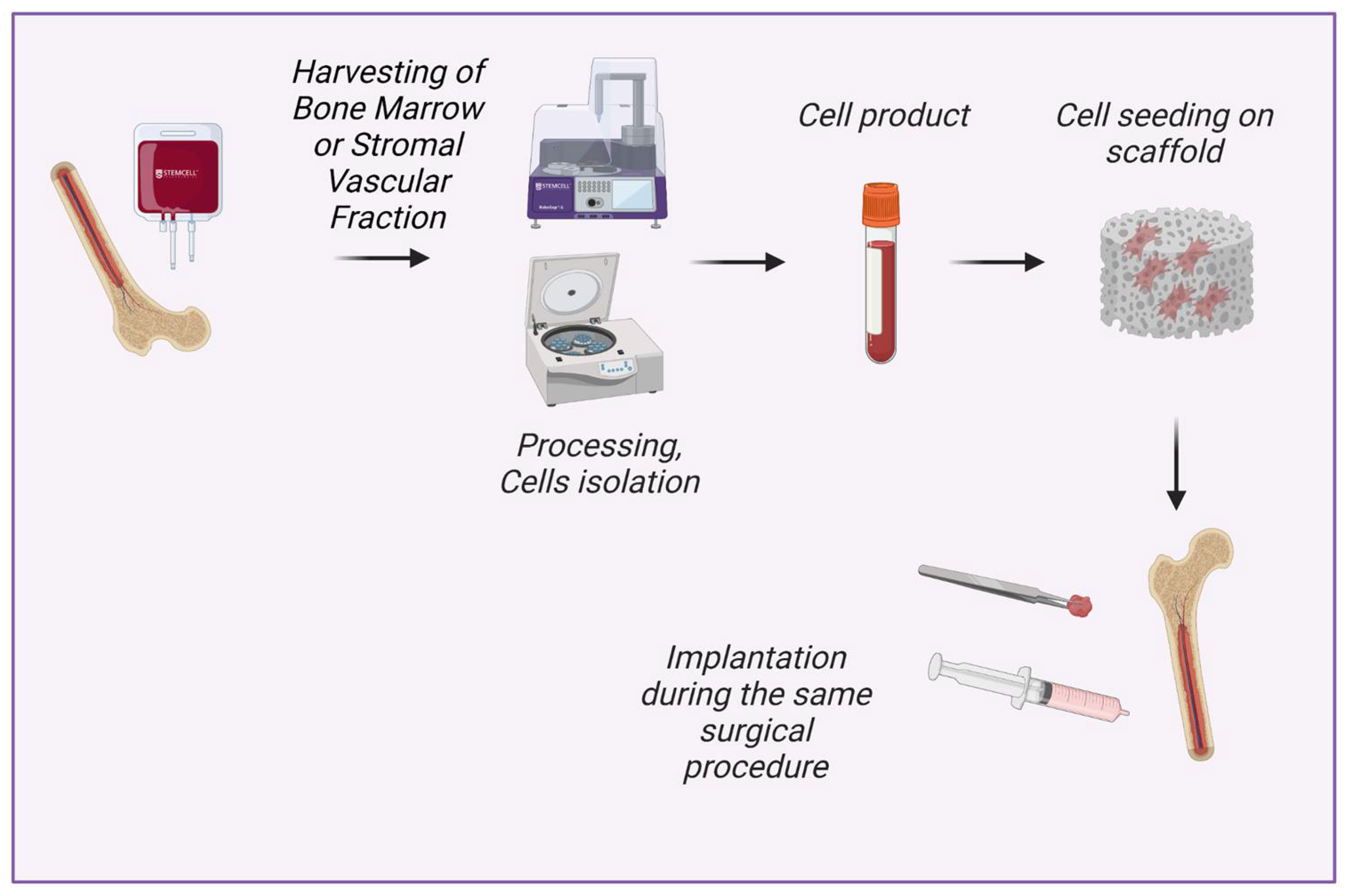 Bioengineering 09 00704 g001 Bioengineering 09 00704 g001