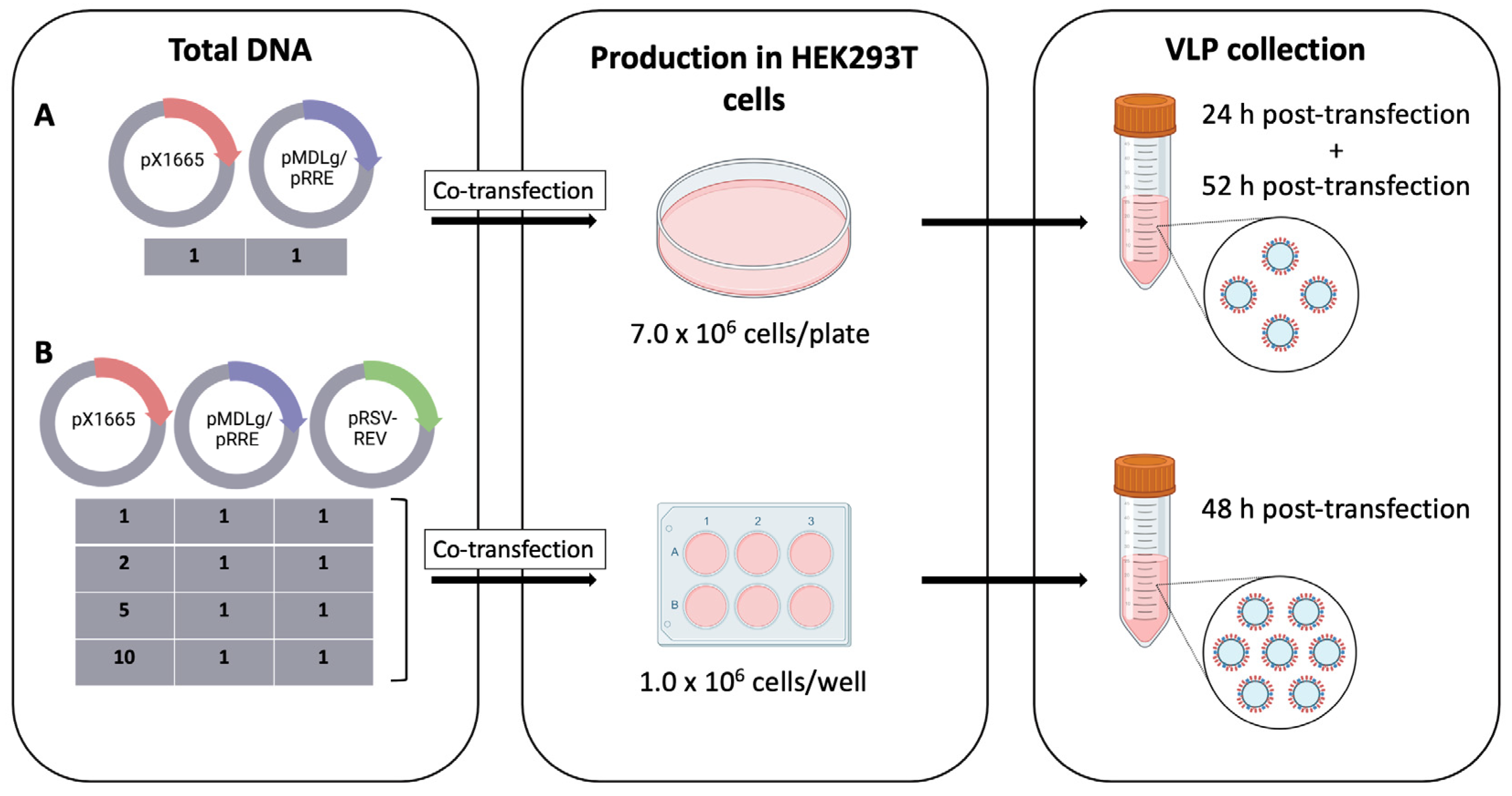 Bioengineering 09 00713 g002 Bioengineering 09 00713 g002