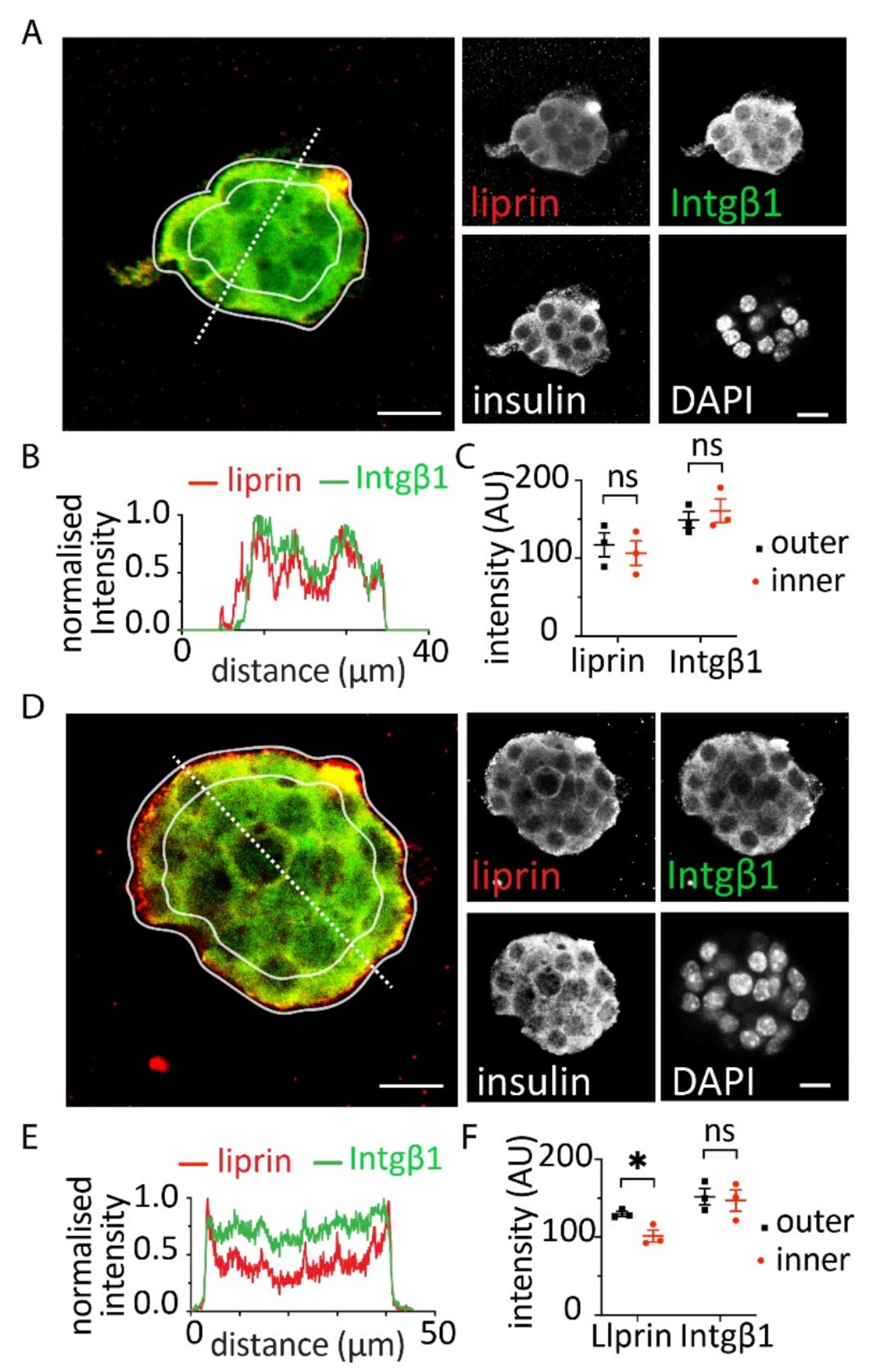 Bioengineering 09 00722 g003