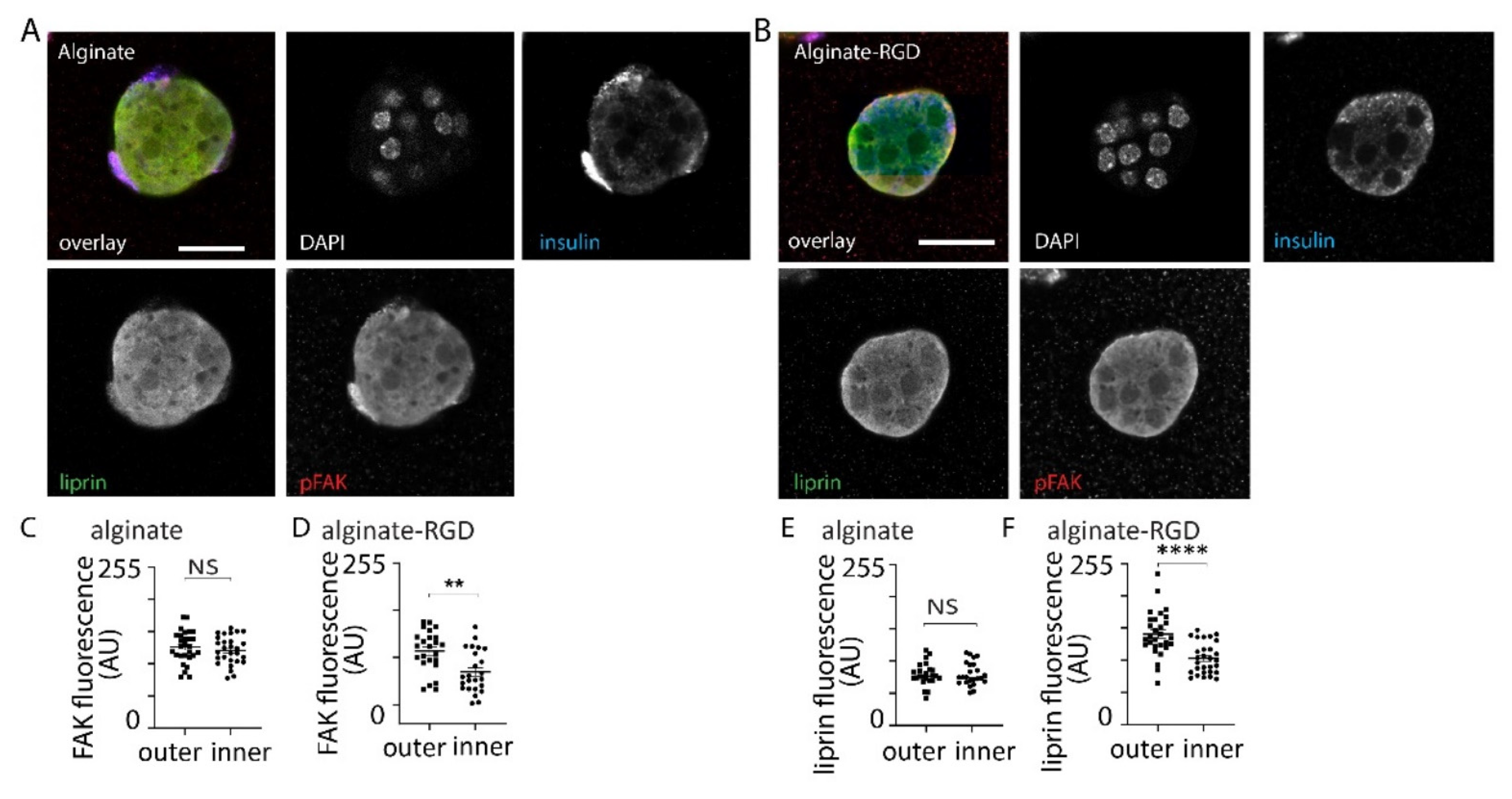 Bioengineering 09 00722 g004