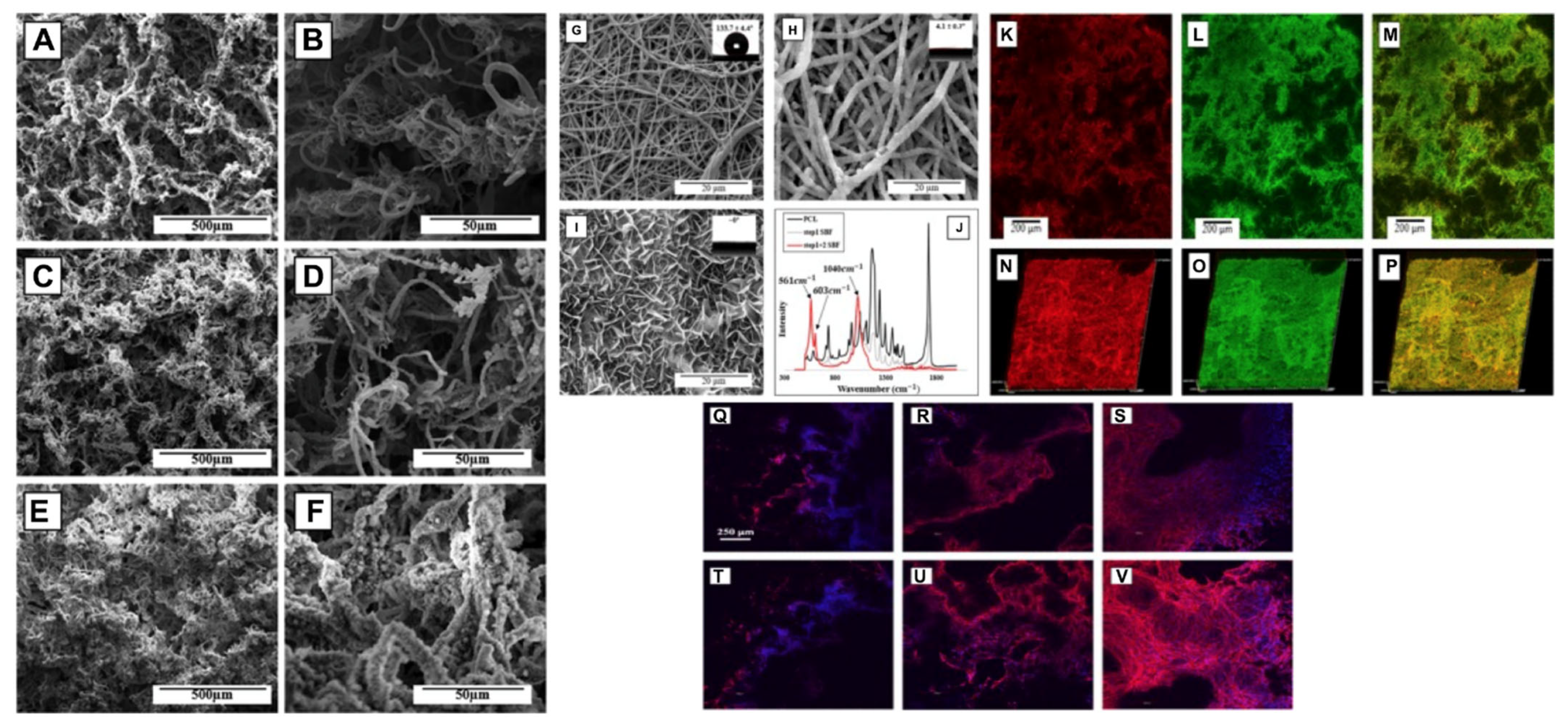 Bioengineering 09 00728 g011 Bioengineering 09 00728 g011